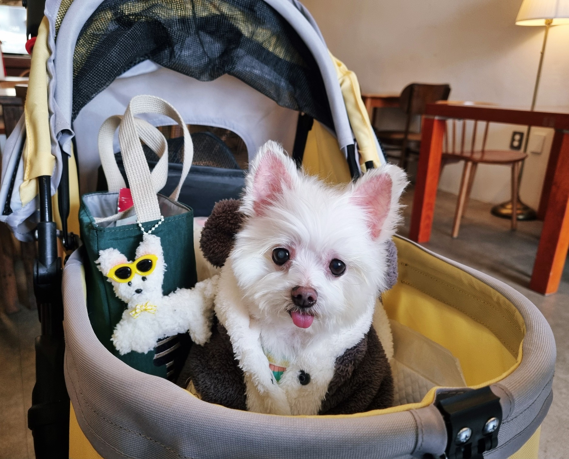 꾸미(익준이)와 눈나의 겨울 이야기