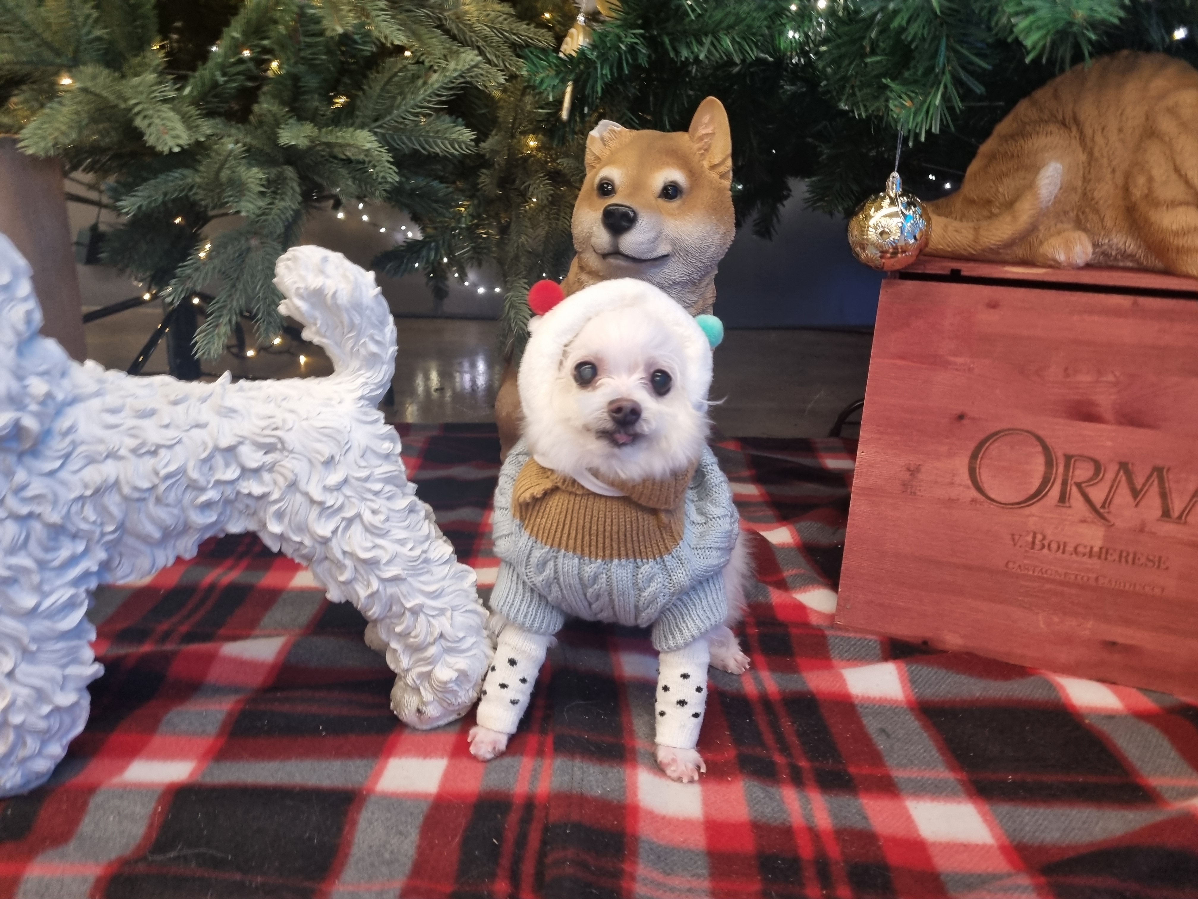 꾸미(익준이)와 눈나의 겨울 이야기