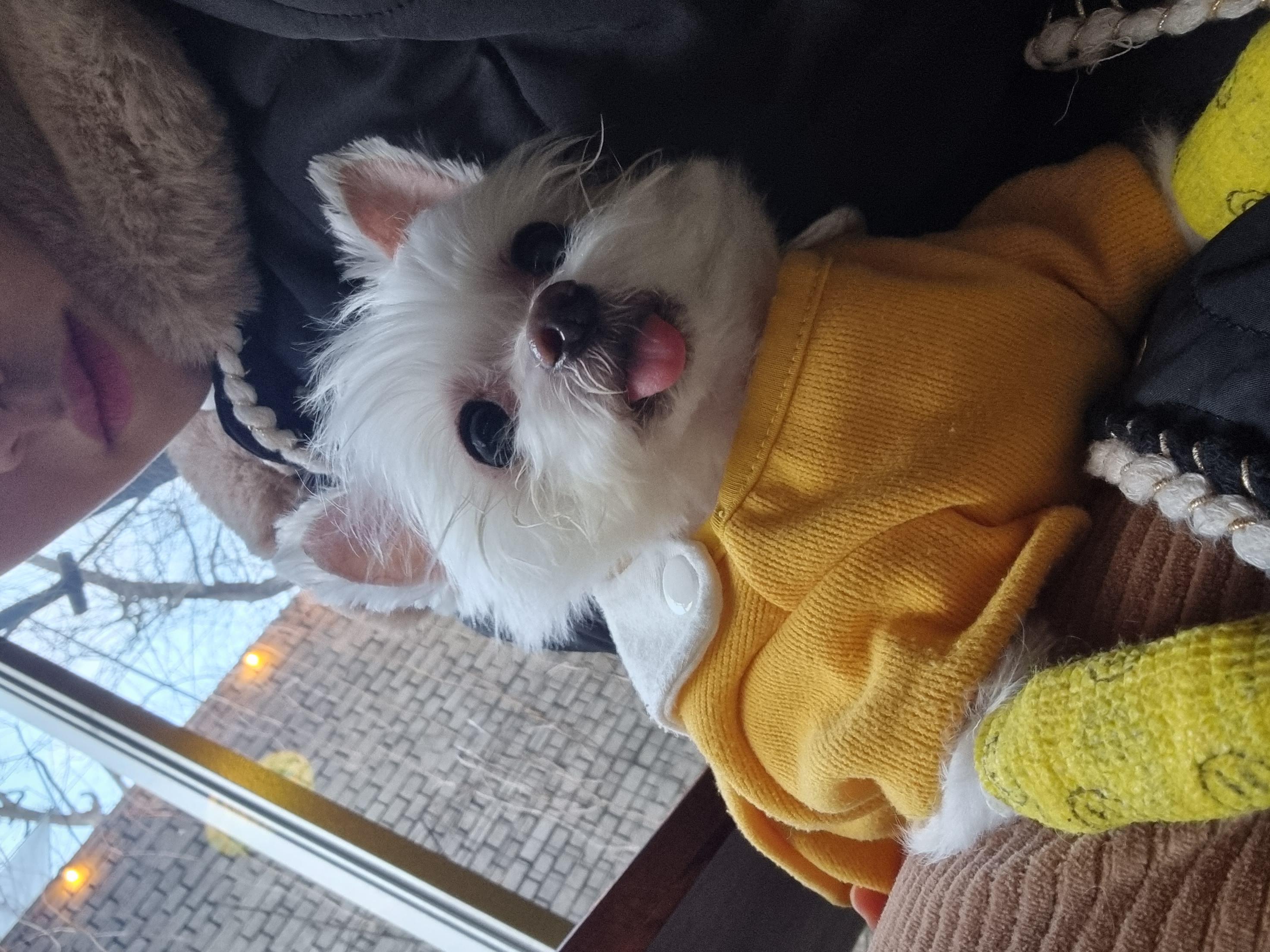 꾸미(익준이)와 눈나의 겨울 이야기