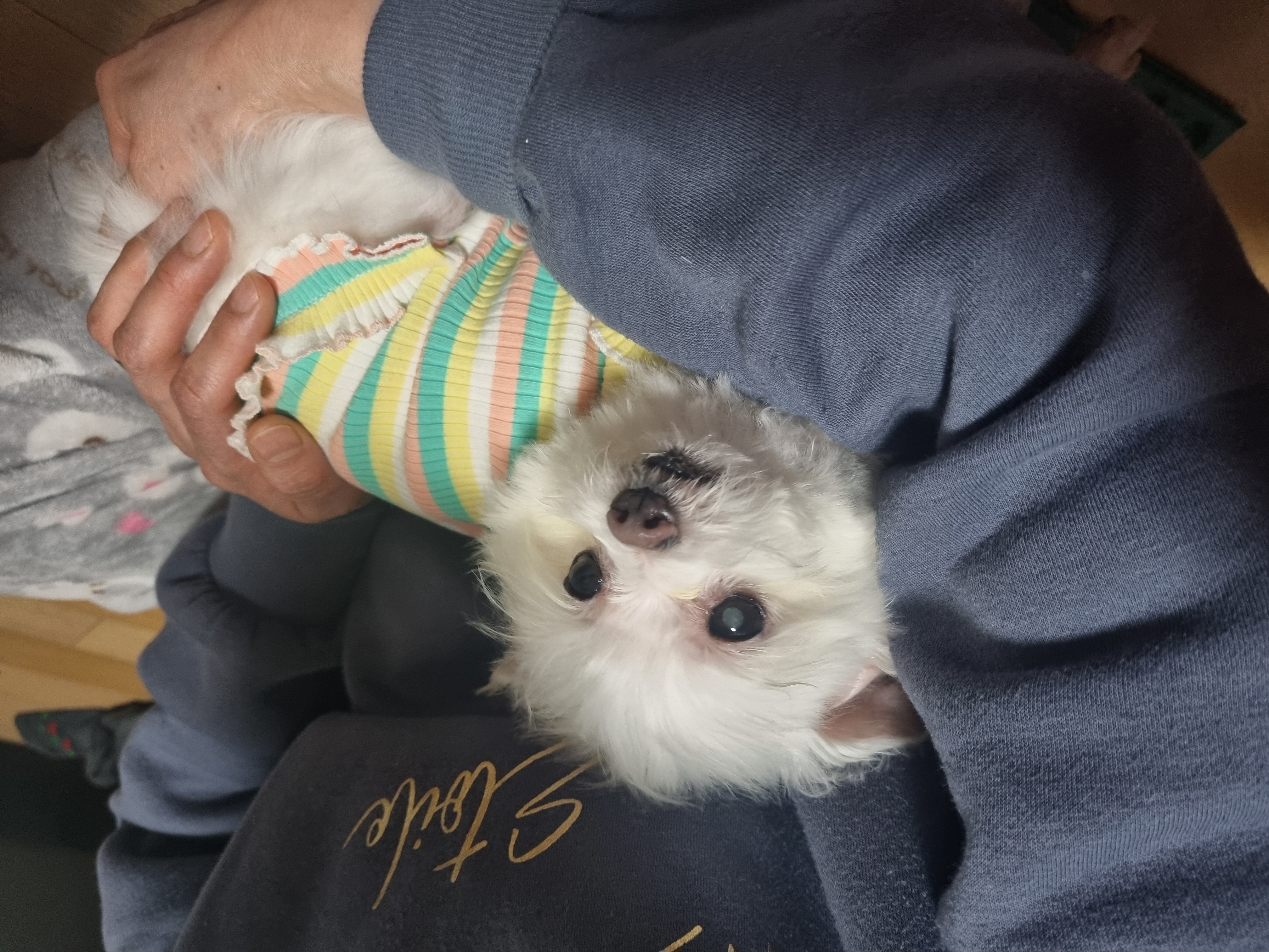 꾸미(익준이)와 눈나의 겨울 이야기