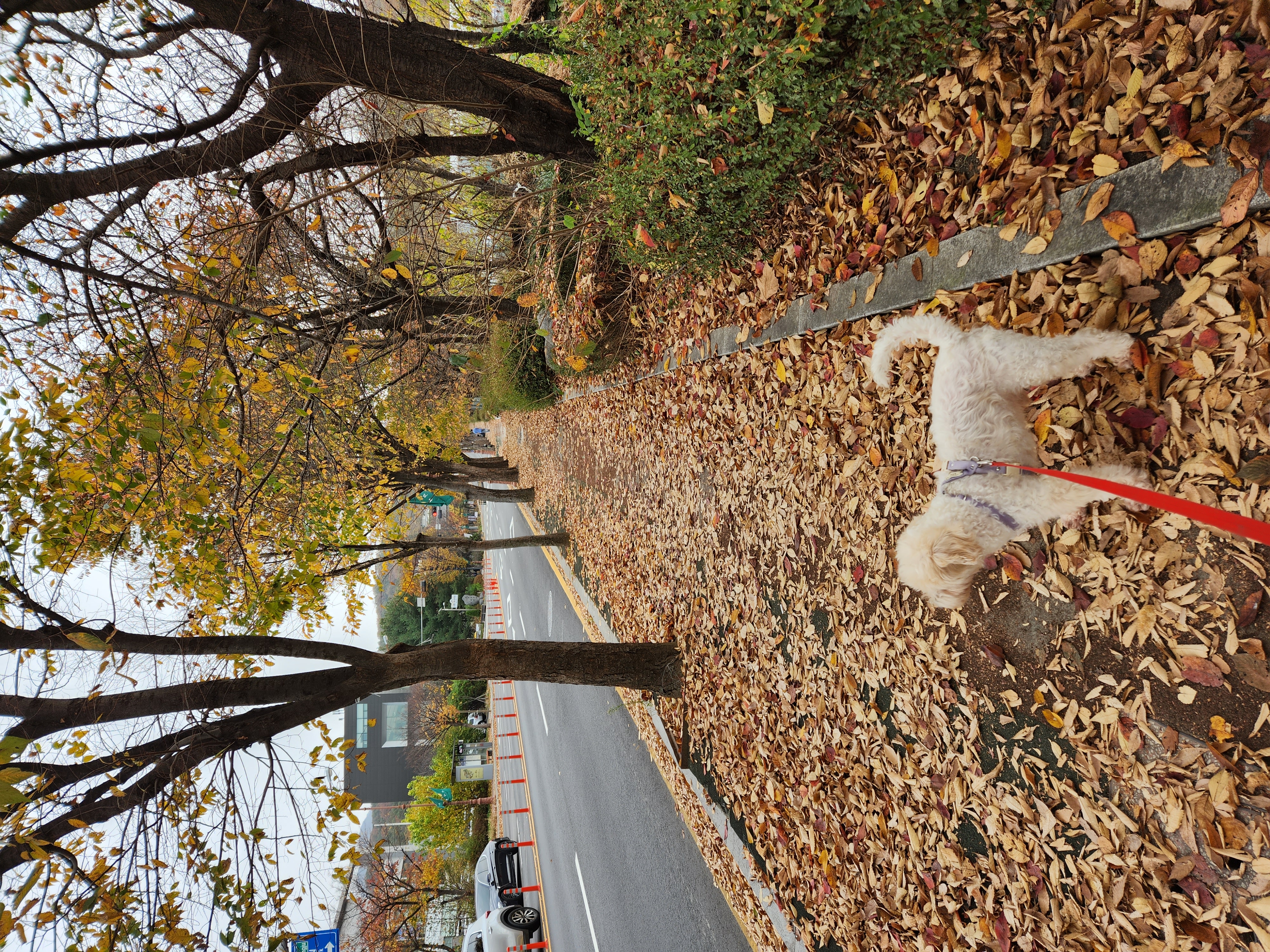 우리 예쁜 금동(은돌)