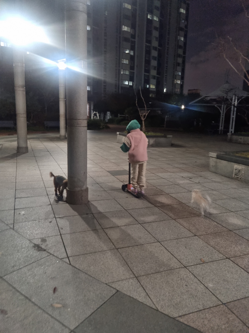 영천 불법번식장 보들이 & 아산 엘프 근황입니다. 