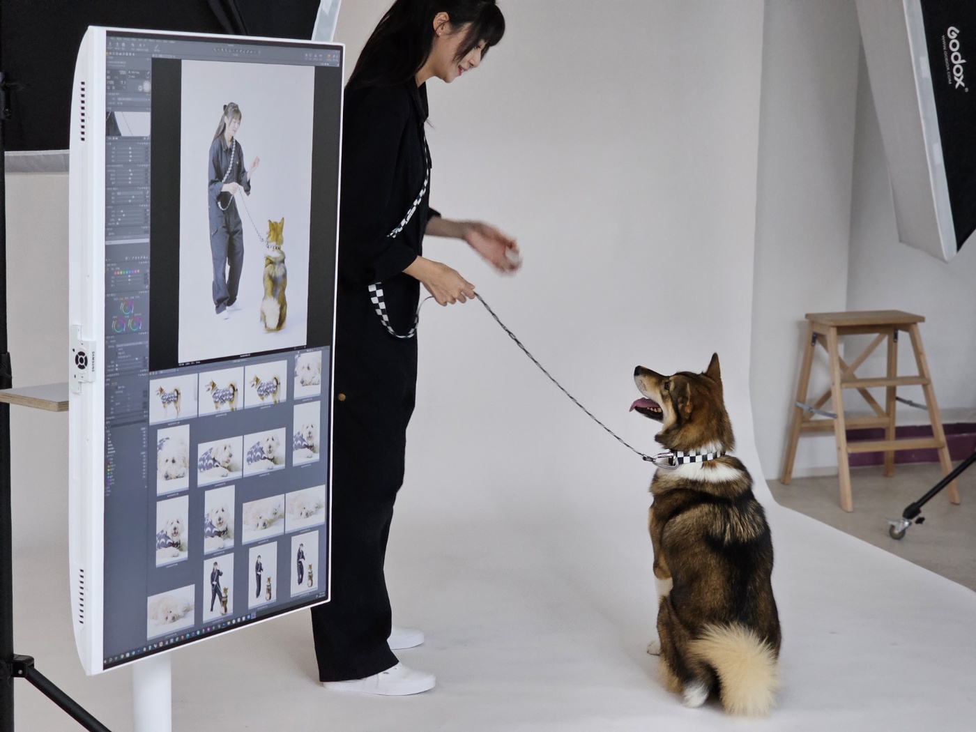 입양2년차 하다