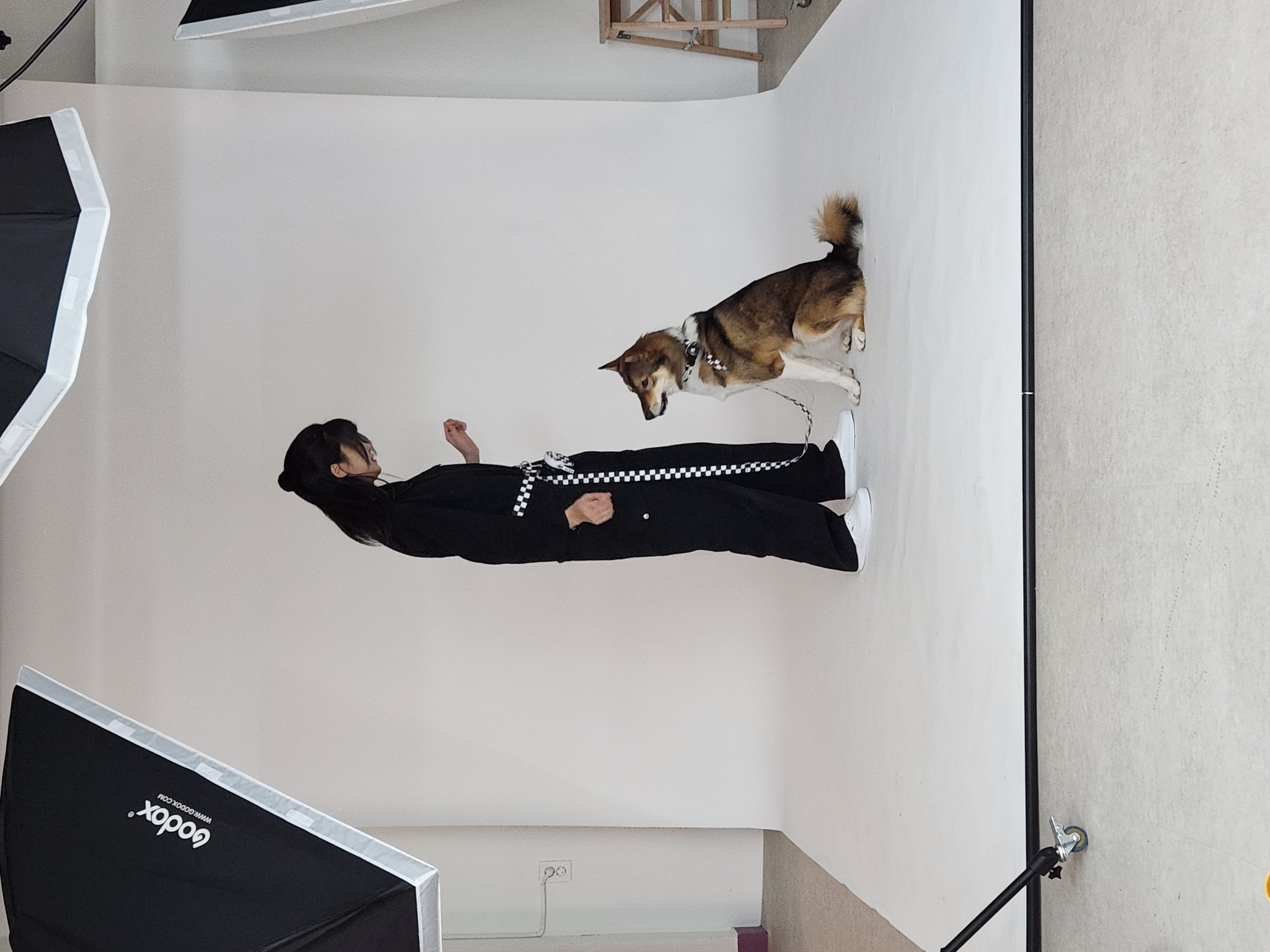 입양2년차 하다