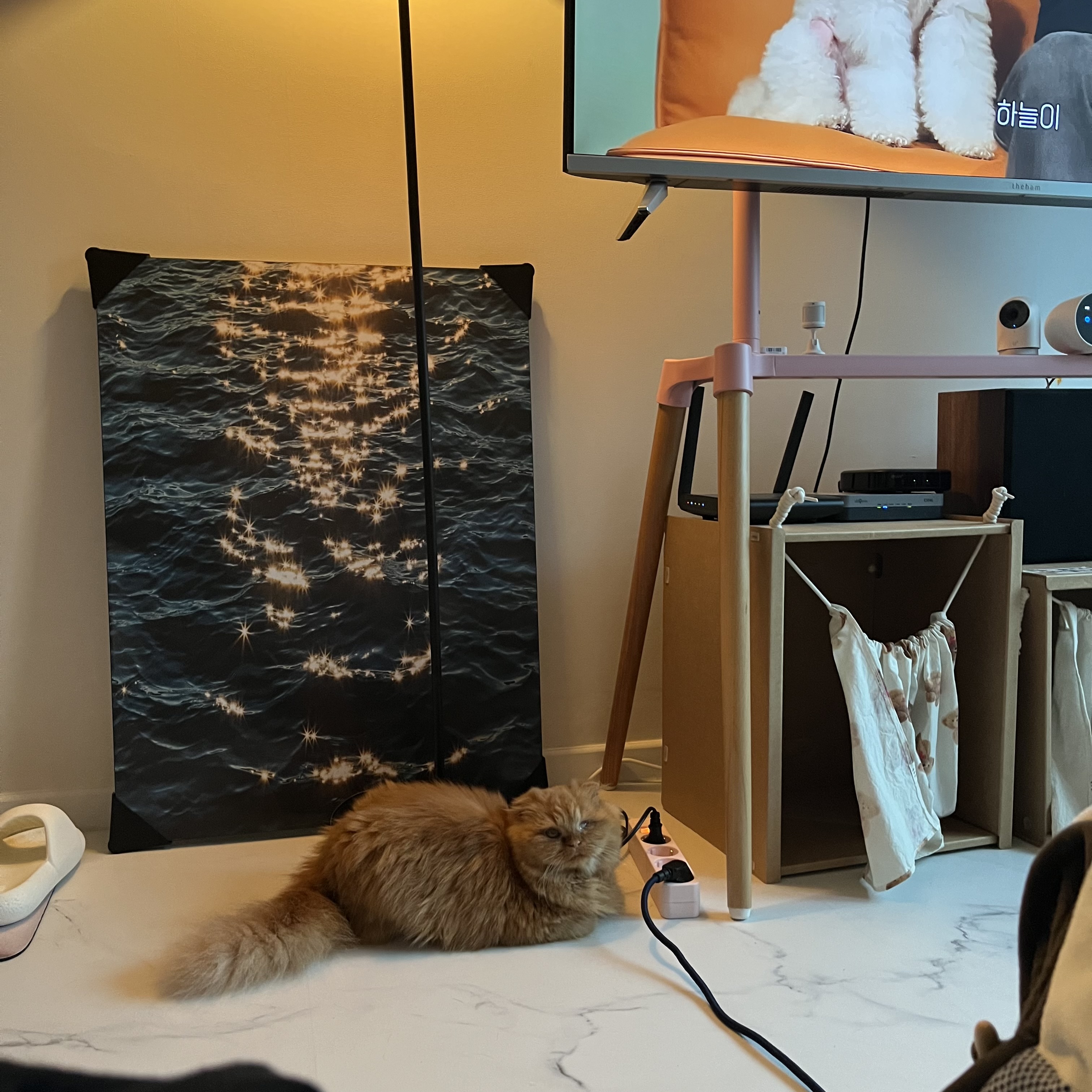 돌고 '도라' 온 만큼 잘 살구같아♡♥♡♥♡♥♡♥-3-