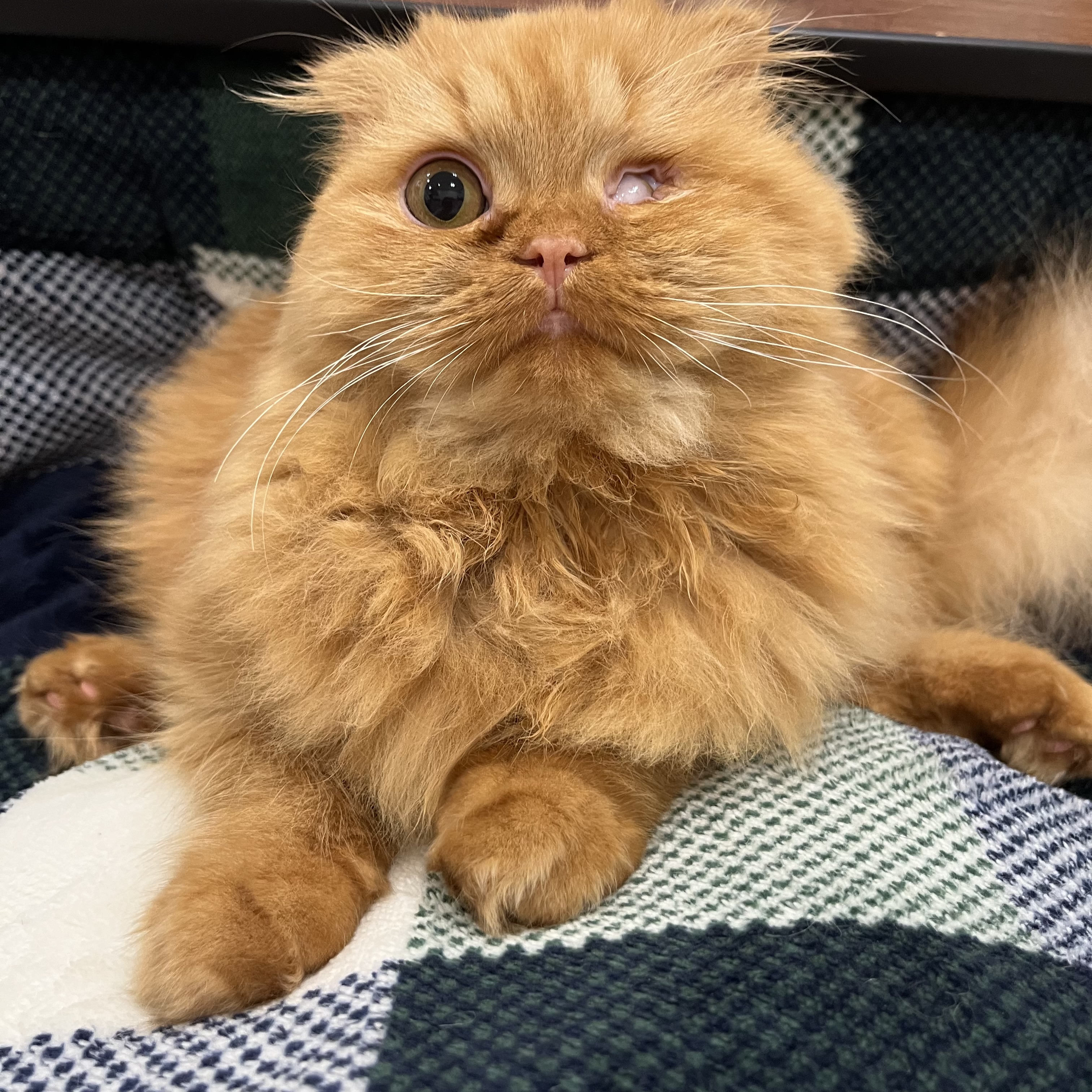 돌고 '도라' 온 만큼 잘 살구같아♡♥♡♥♡♥♡♥-3-