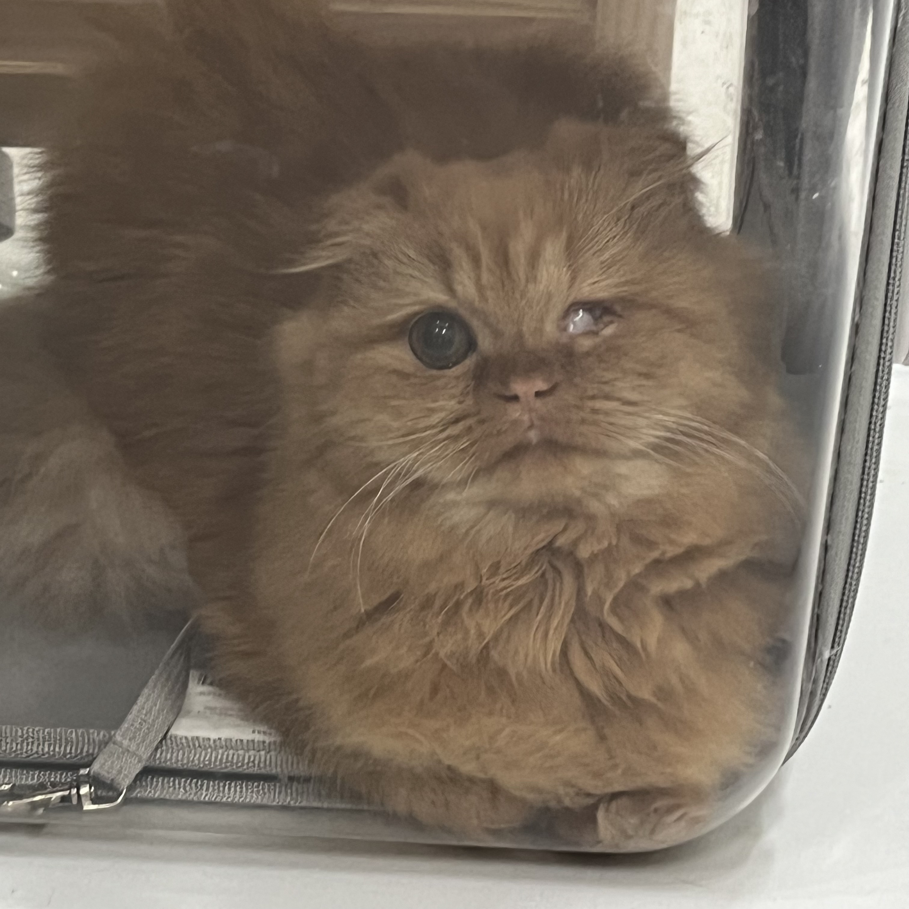 돌고 '도라' 온 만큼 잘 살구같아♡♥♡♥♡♥♡♥-3-