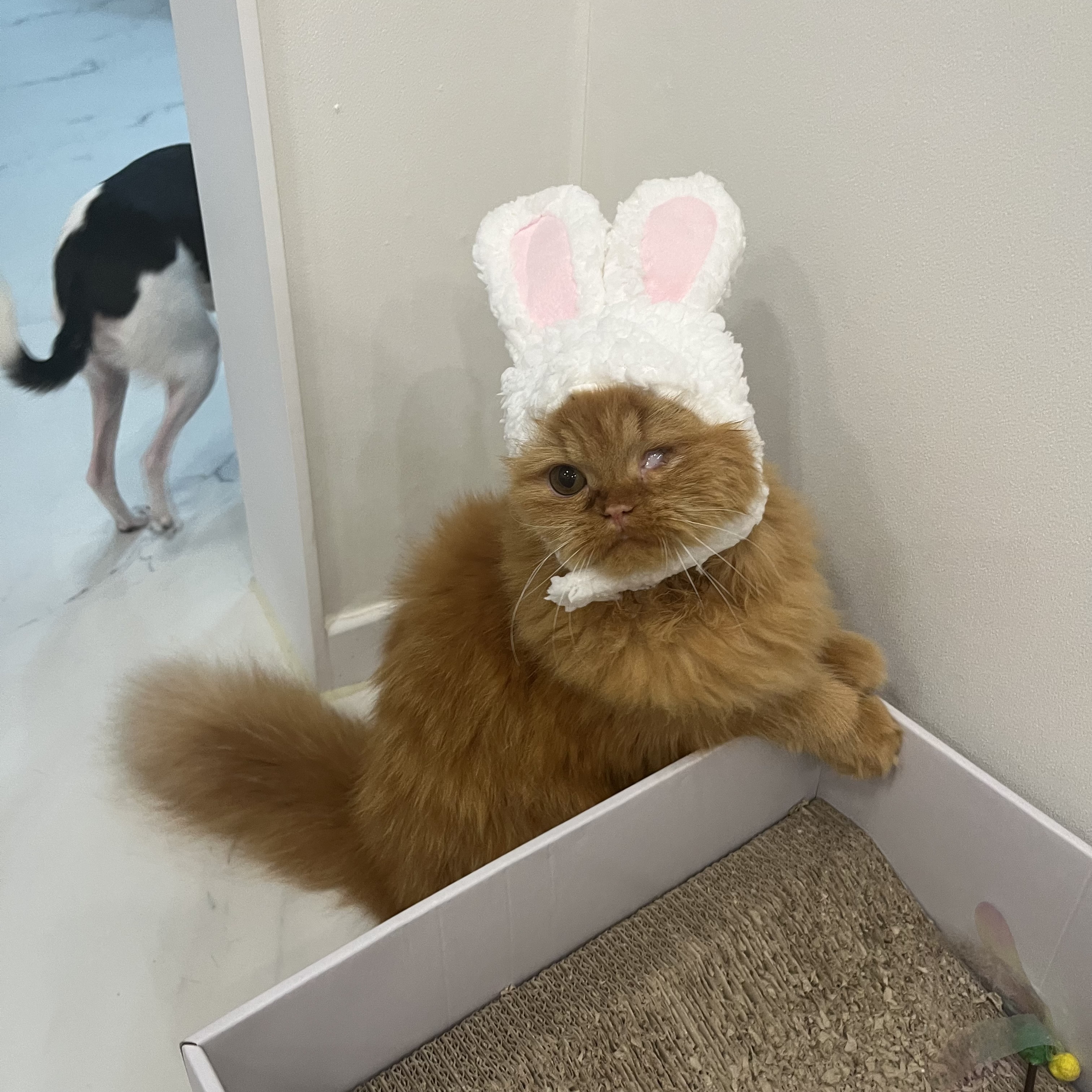 돌고 '도라' 온 만큼 잘 살구같아♡♥♡♥♡♥♡♥-3-