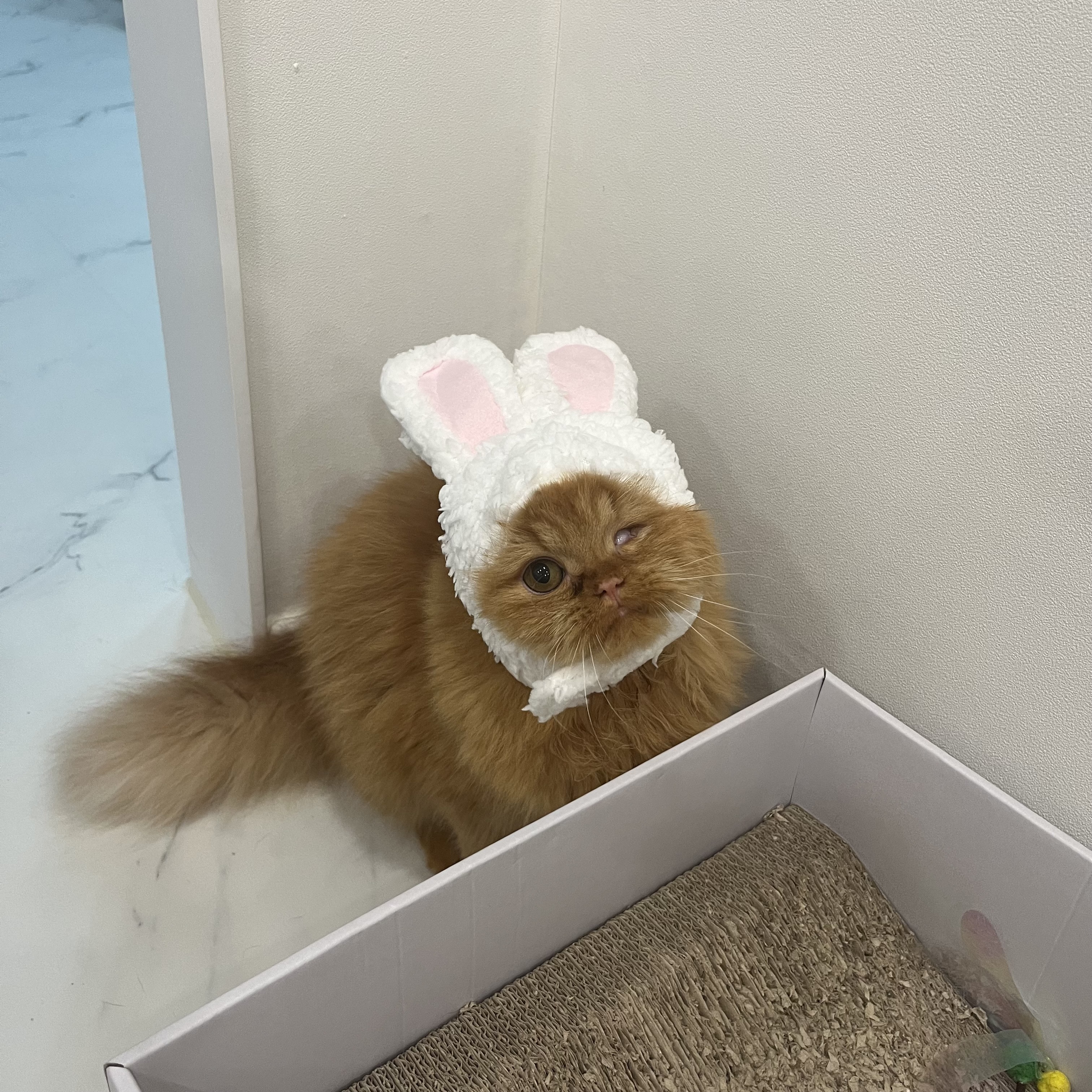 돌고 '도라' 온 만큼 잘 살구같아♡♥♡♥♡♥♡♥-3-