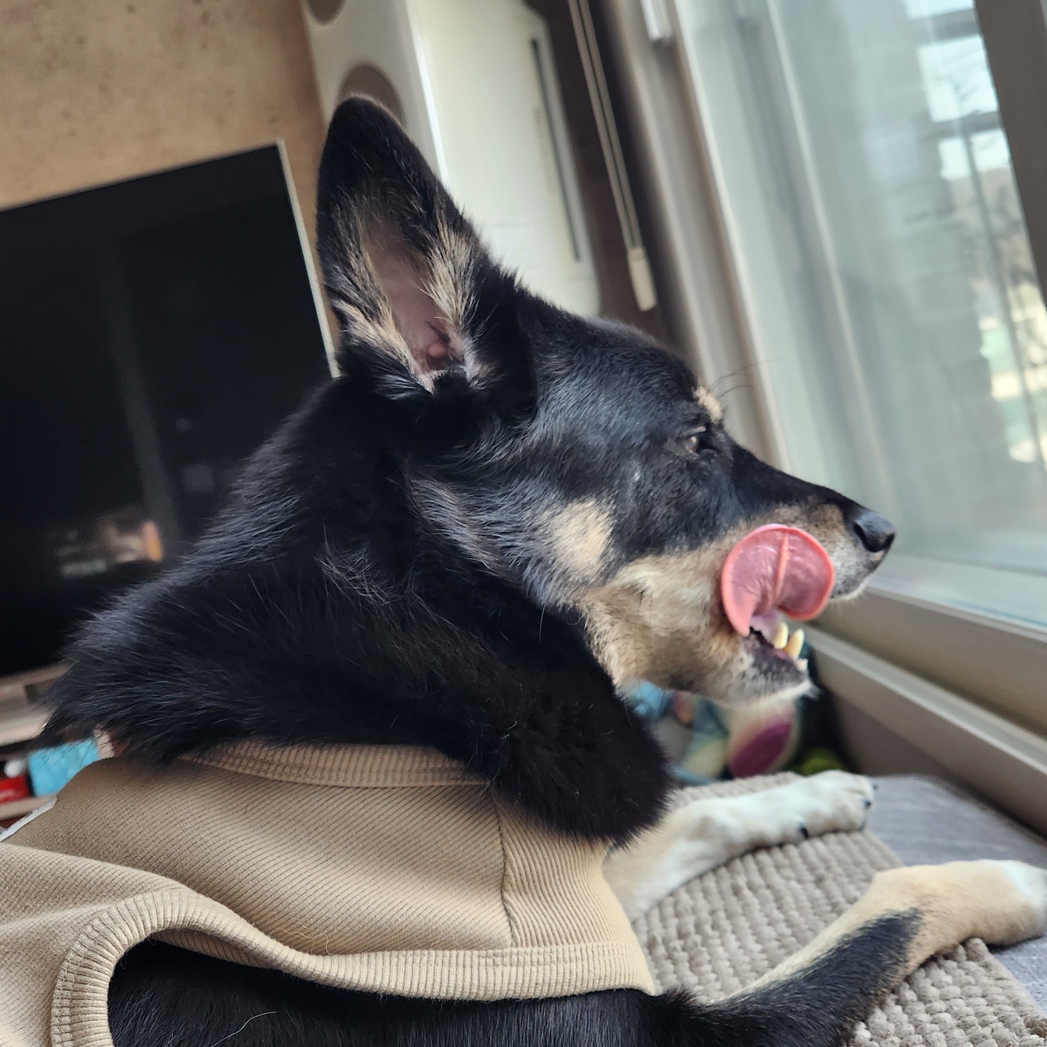 흑치, 대추 오랜만에 인사드려요~^^