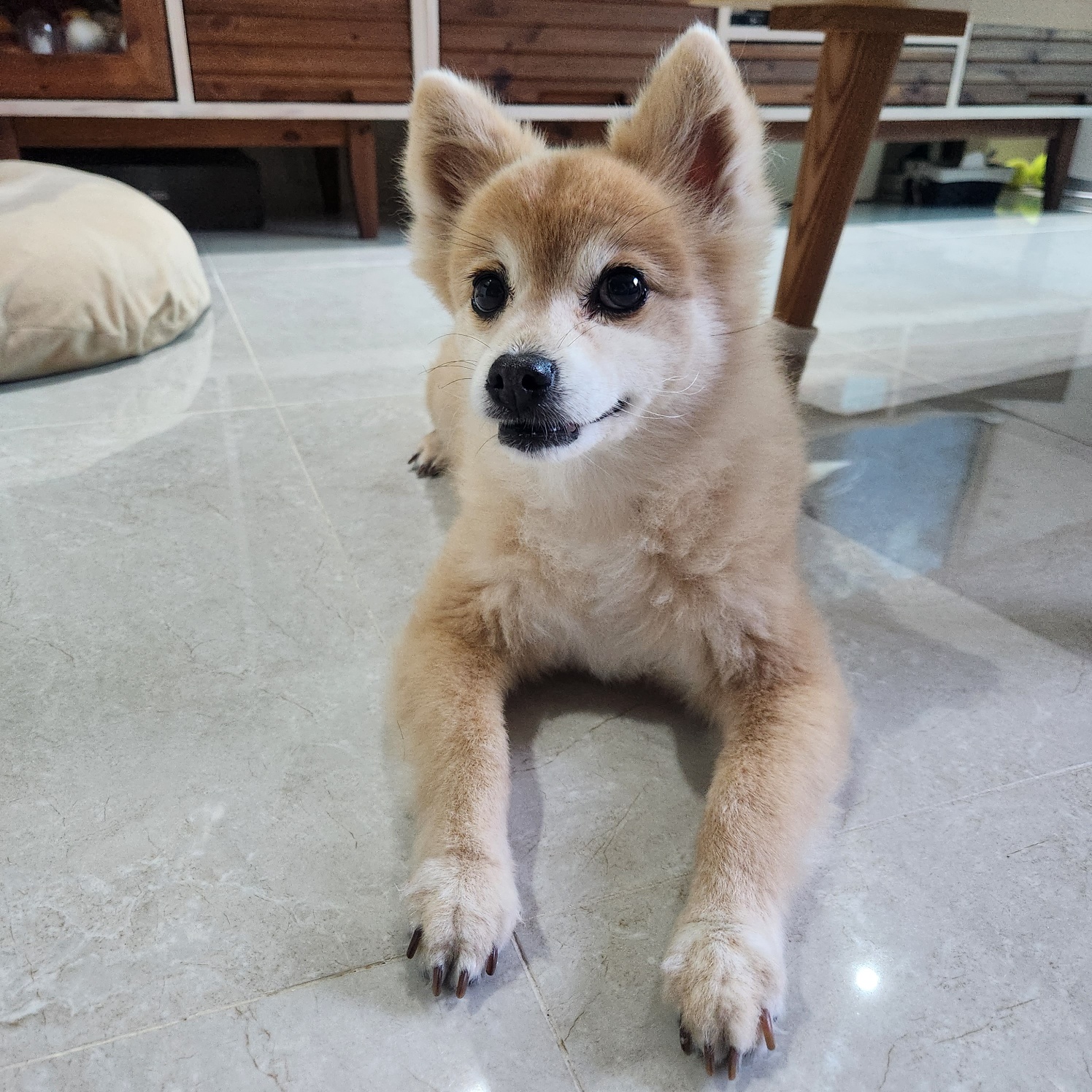 흑치, 대추 오랜만에 인사드려요~^^