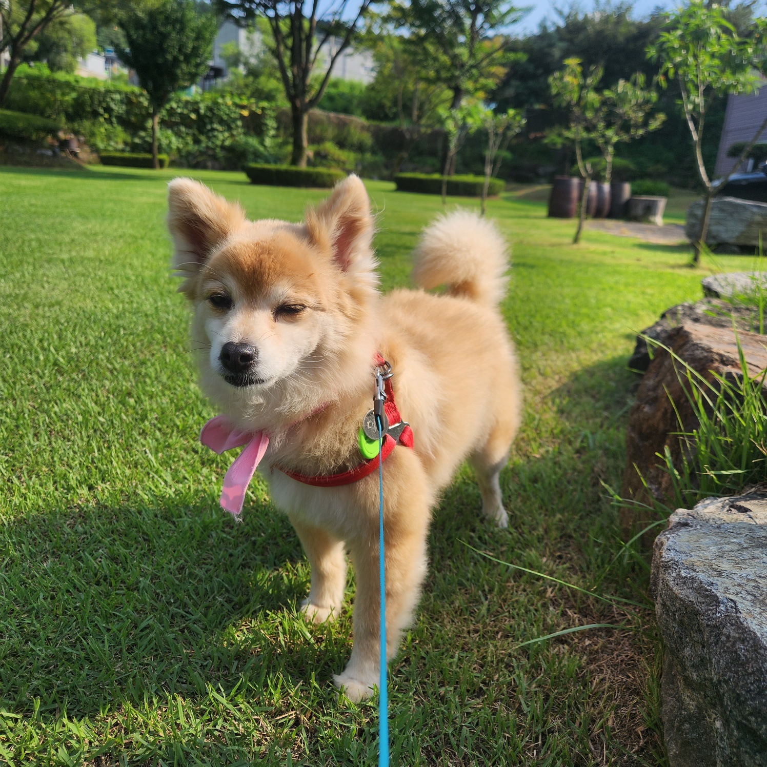 흑치, 대추 오랜만에 인사드려요~^^