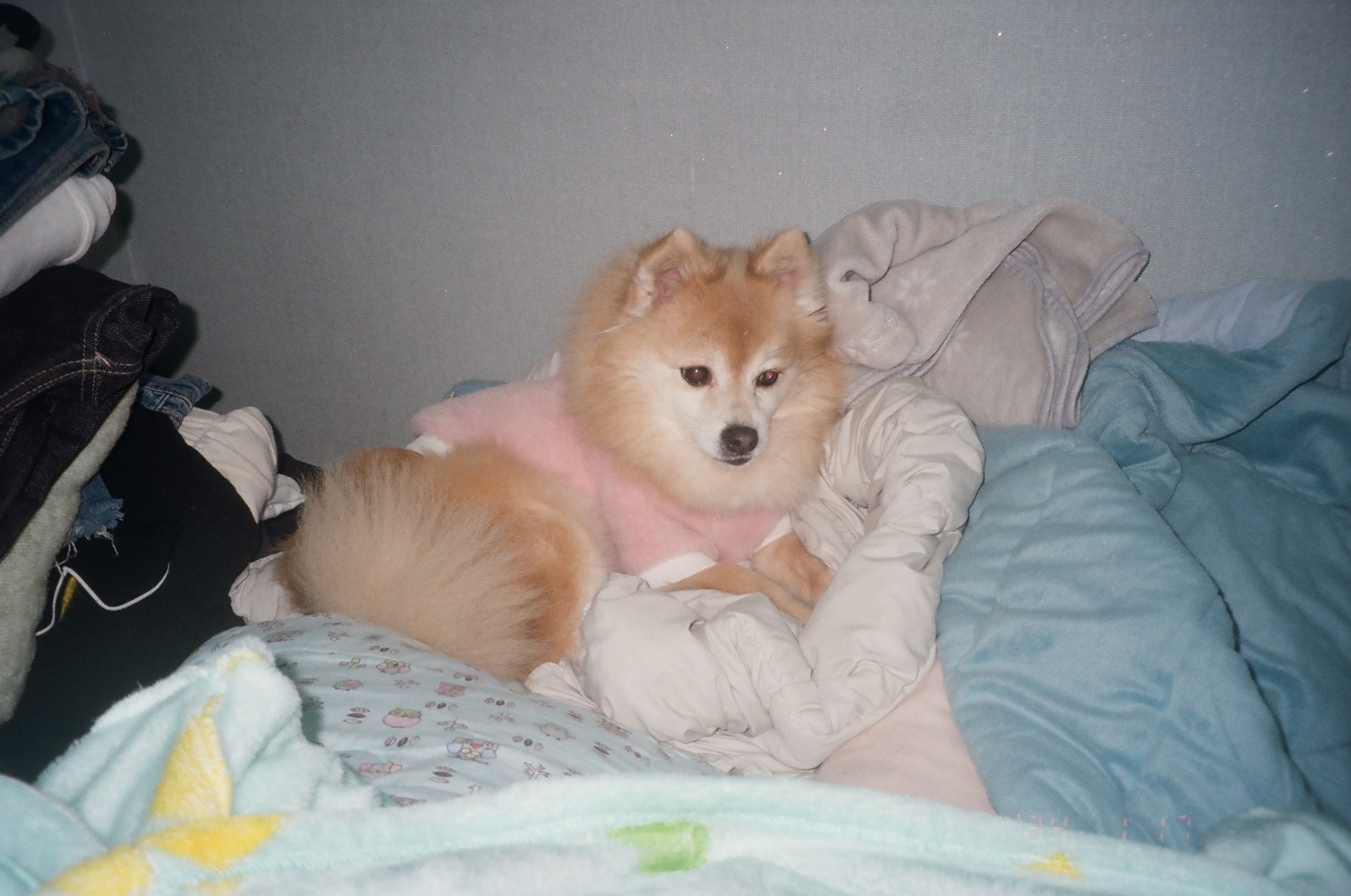 흑치, 대추 오랜만에 인사드려요~^^