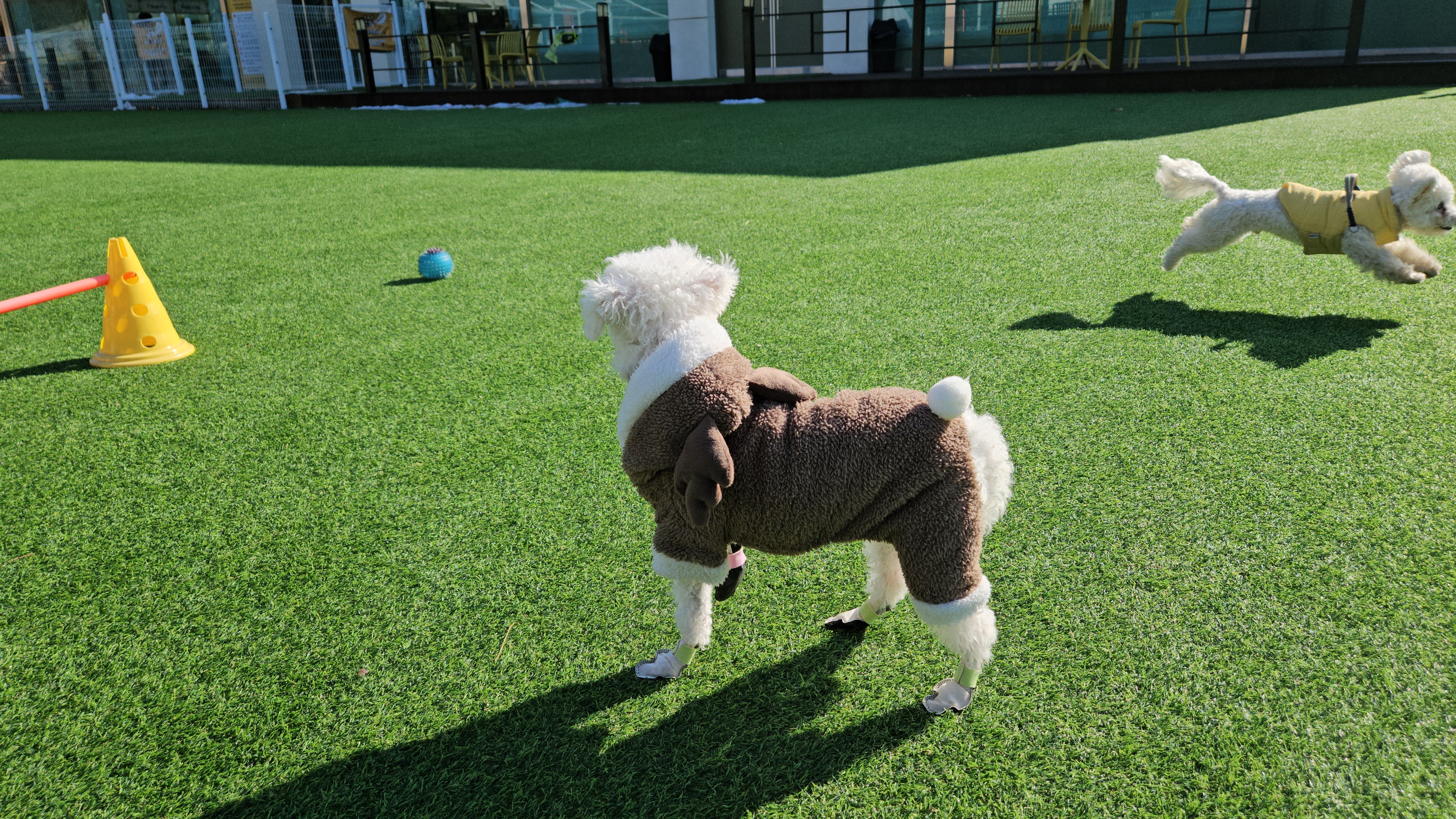 루아(양양이) 소식 전합니다.