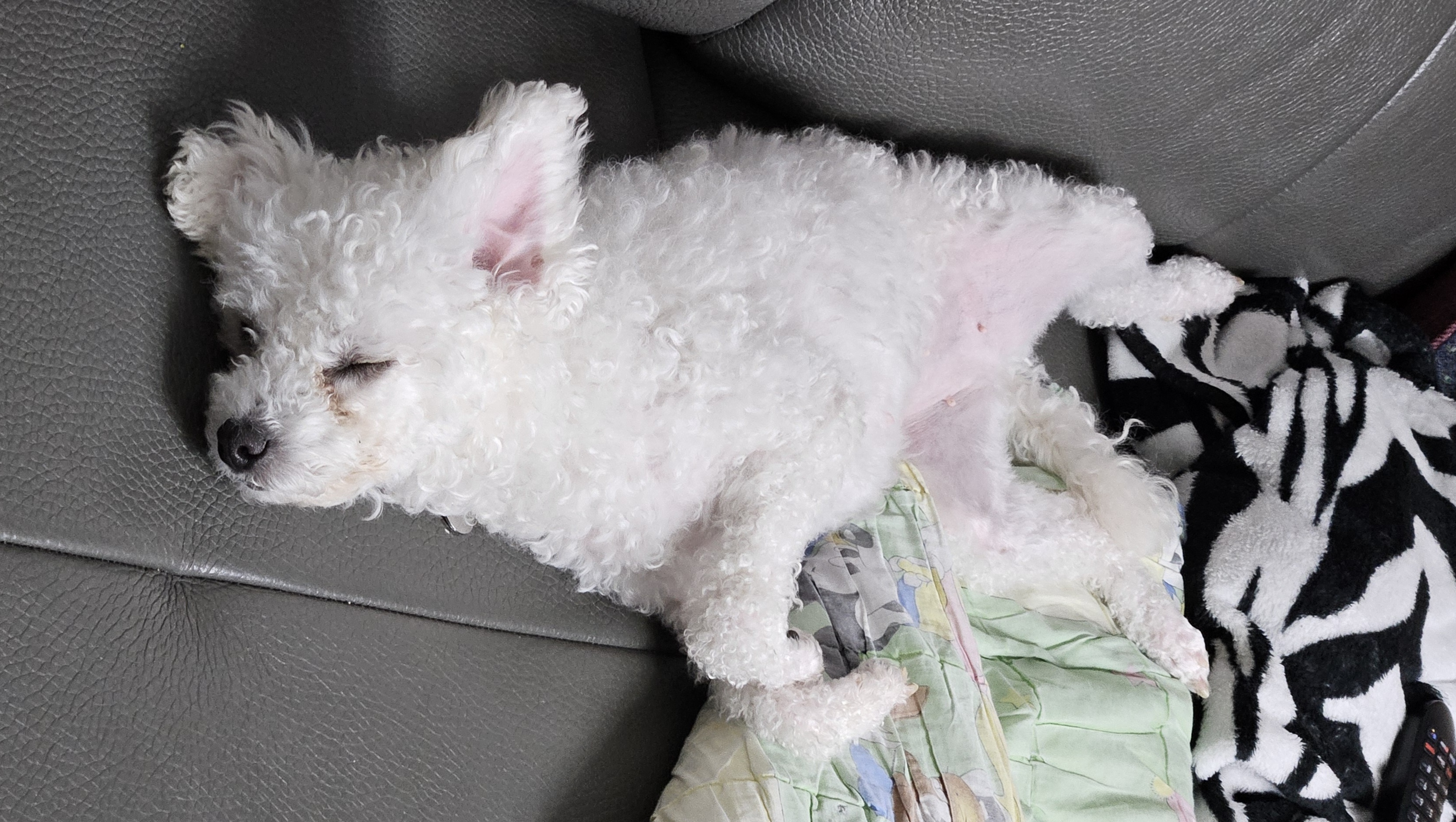 루아(양양이) 소식 전합니다.