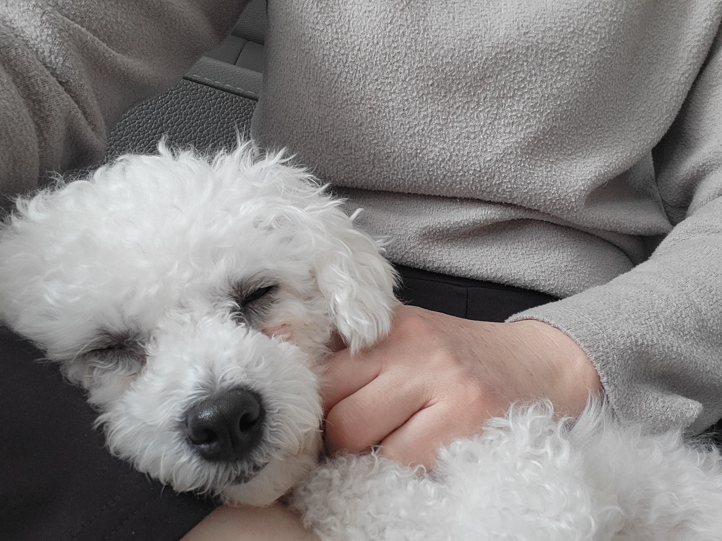 루아(양양이) 소식 전합니다.