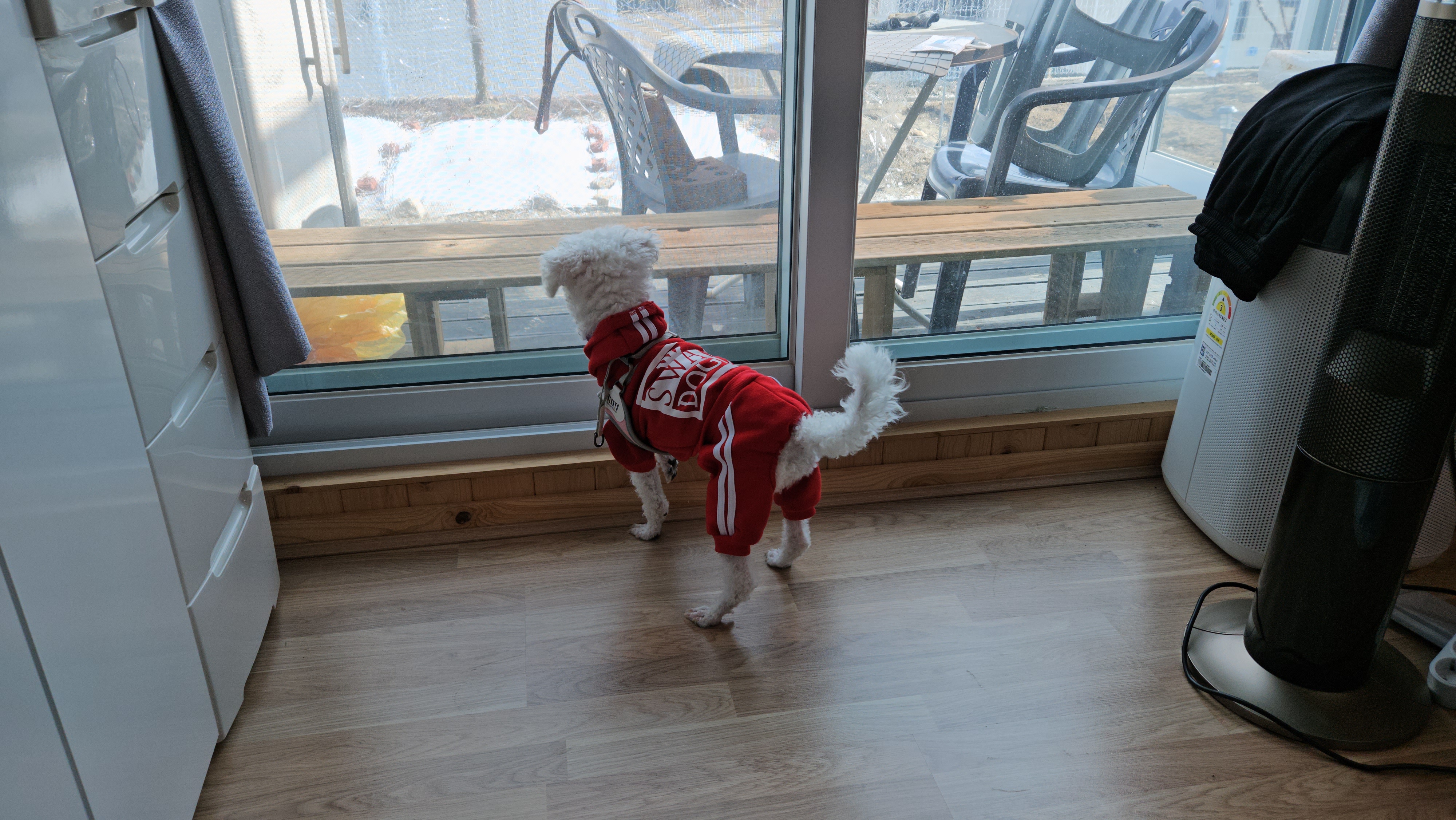 루아(양양이) 소식 전합니다.