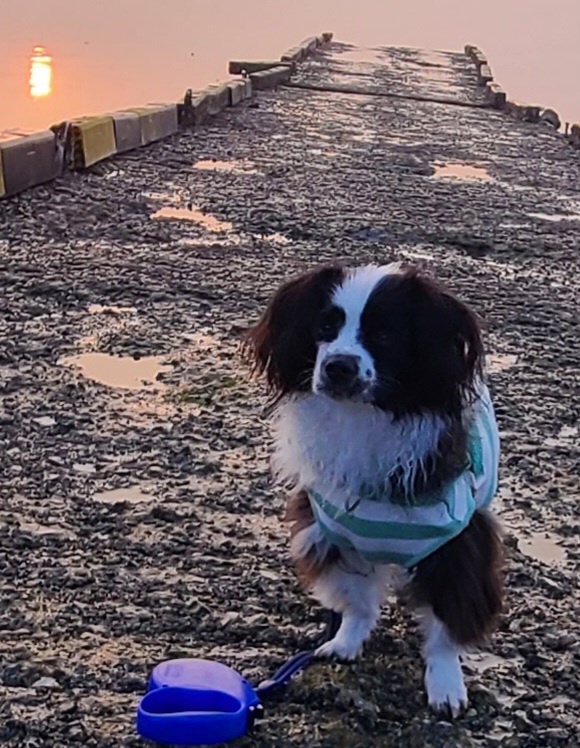 레오(포네) 인사드려요 - 벌써 1년 