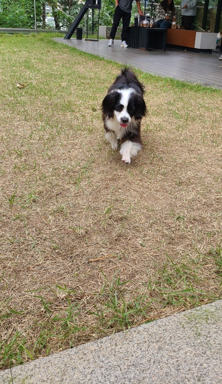 레오(포네) 인사드려요 - 벌써 1년 