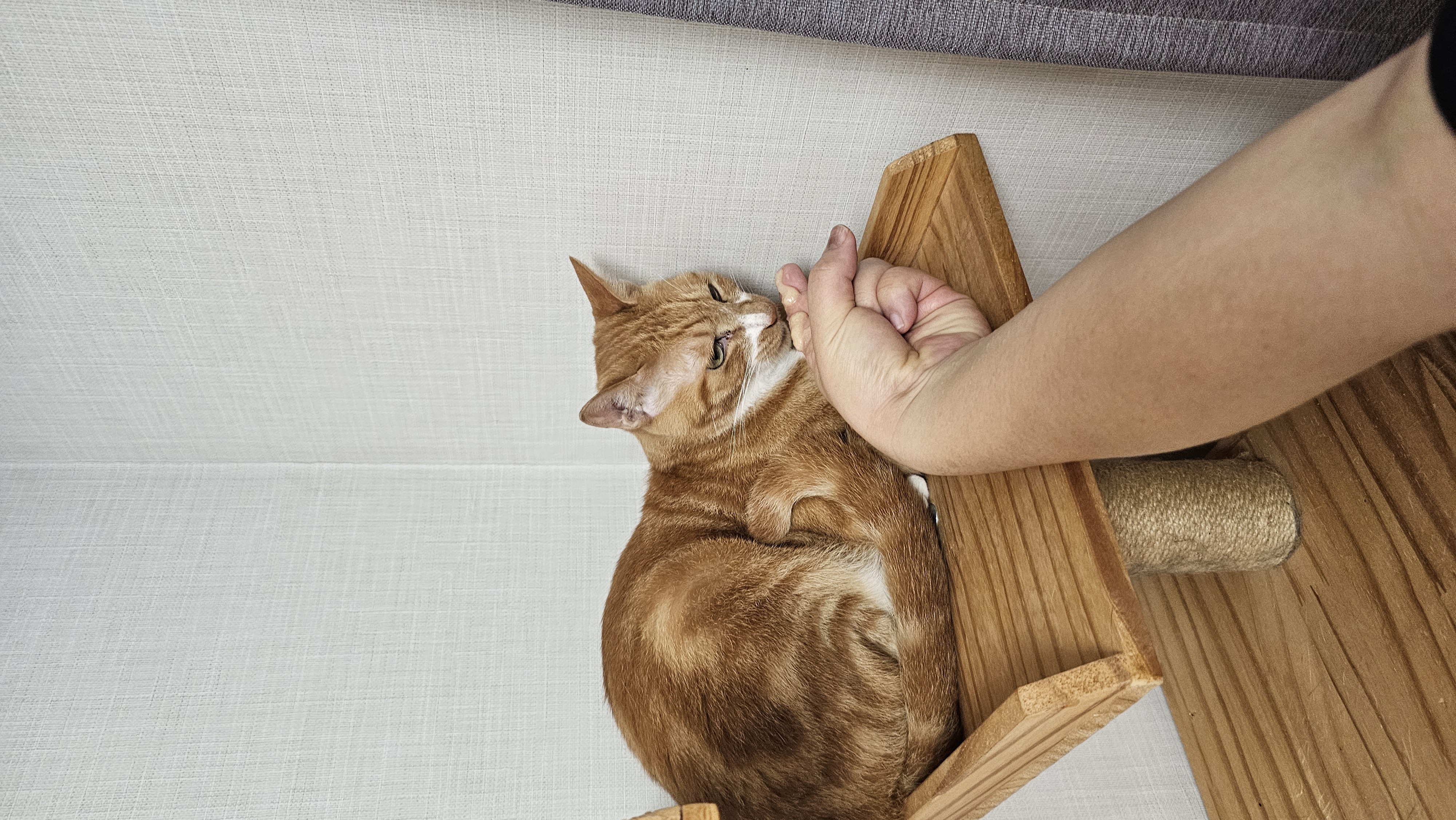 필구와 함께한지 11개월째^^