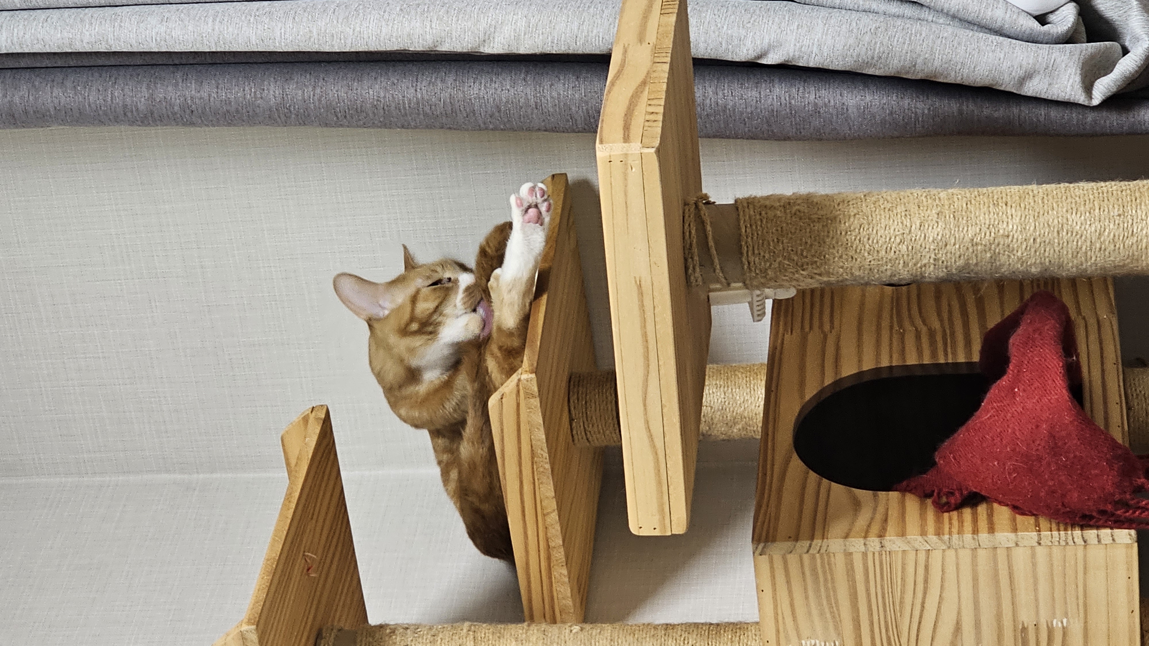 필구와 함께한지 11개월째^^