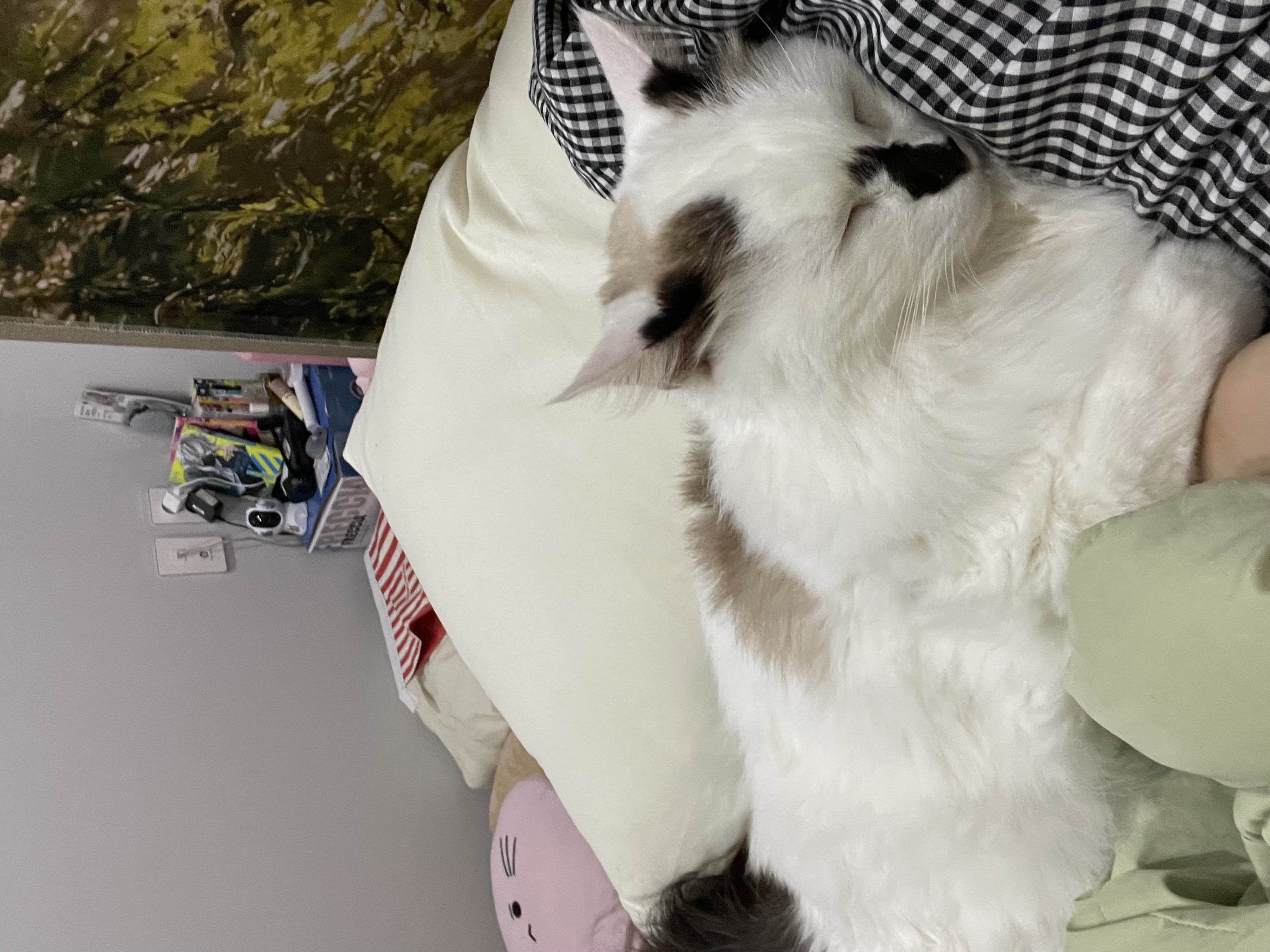 달이(썸씽이)와 함께한지 3달차 입니다~!