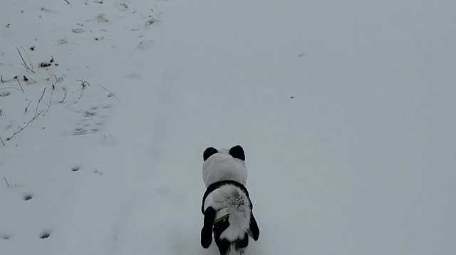 이몬이 오랜만에.왔어요