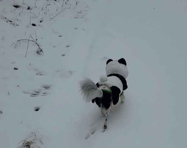 이몬이 오랜만에.왔어요