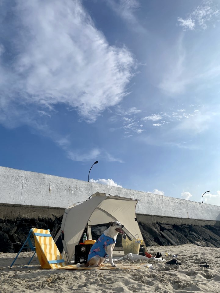 당이근이 당근자매 (도도/그삼이)