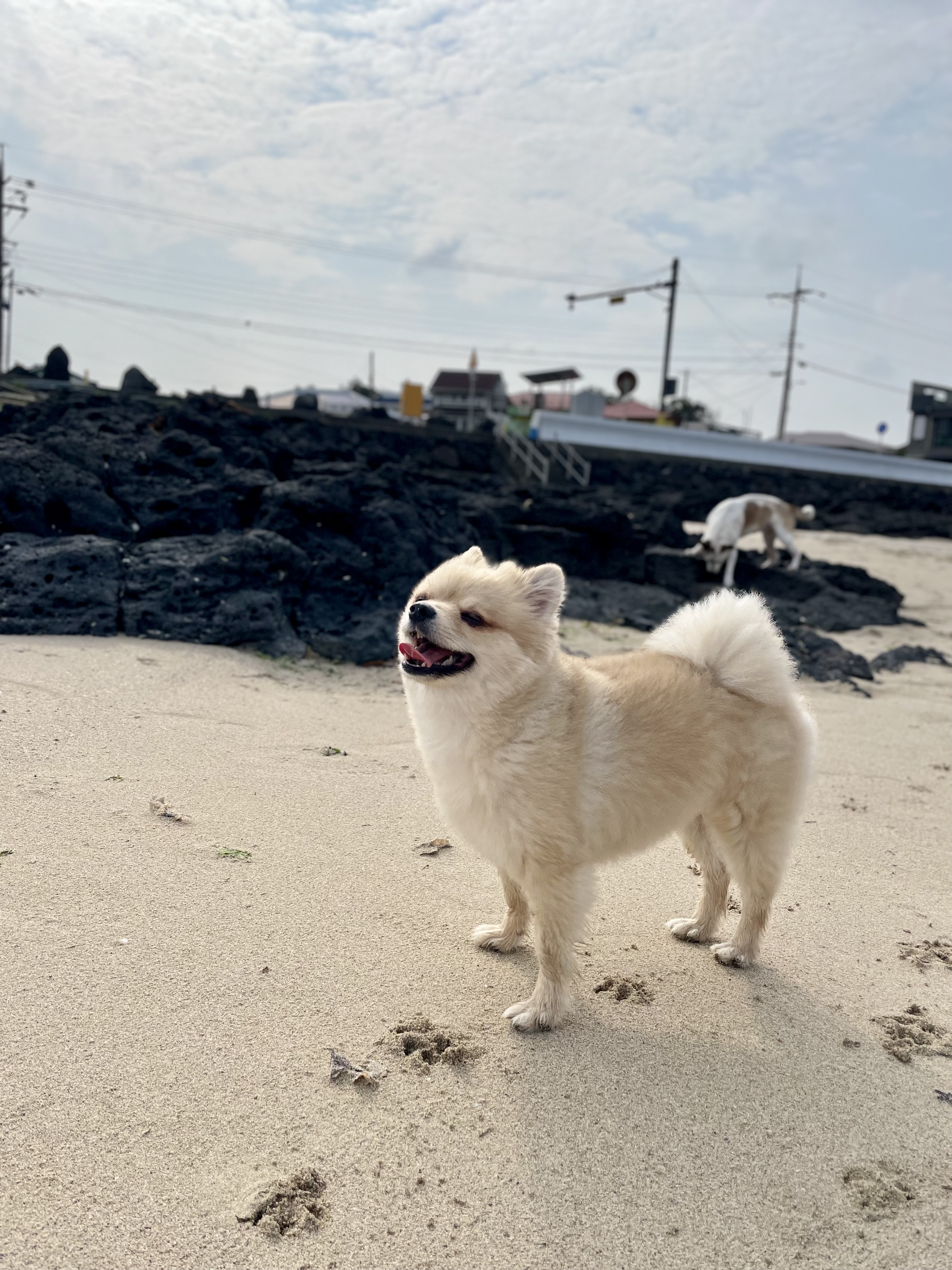 당이근이 당근자매 (도도/그삼이)