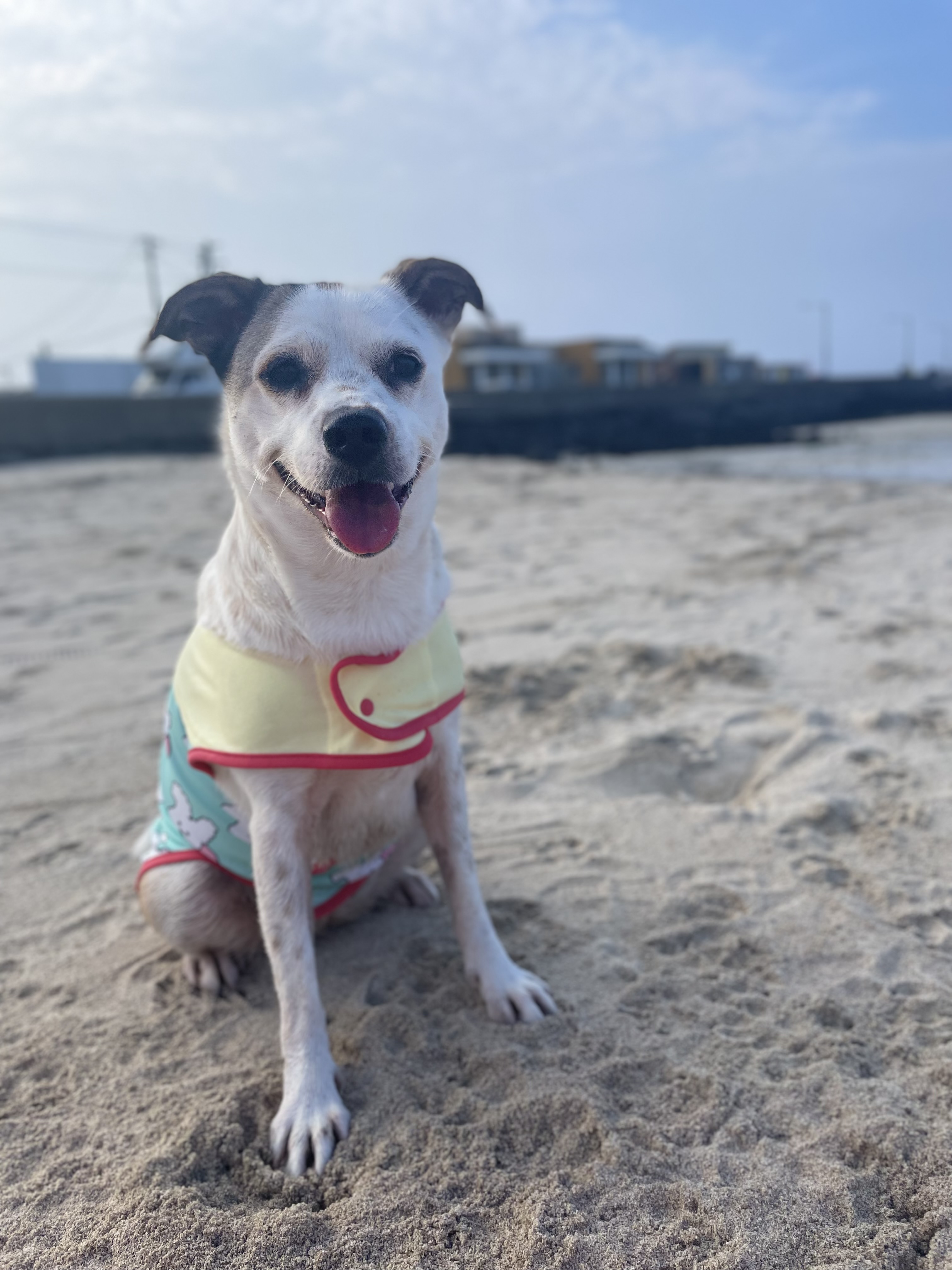 당이근이 당근자매 (도도/그삼이)