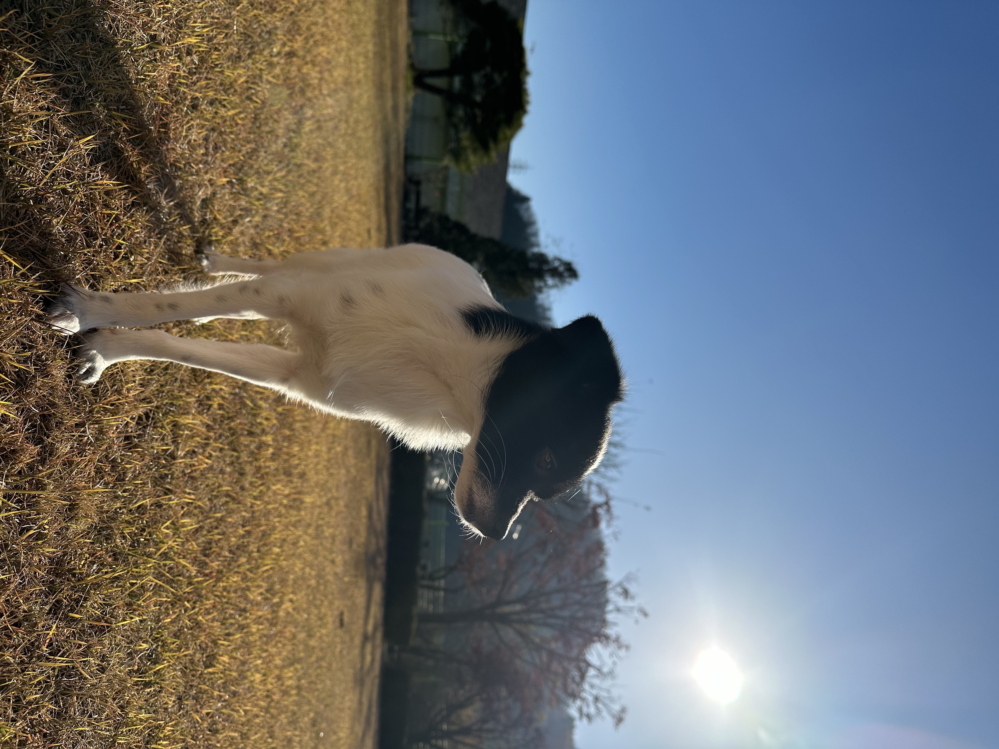 다온이 (루루) 1년 째!