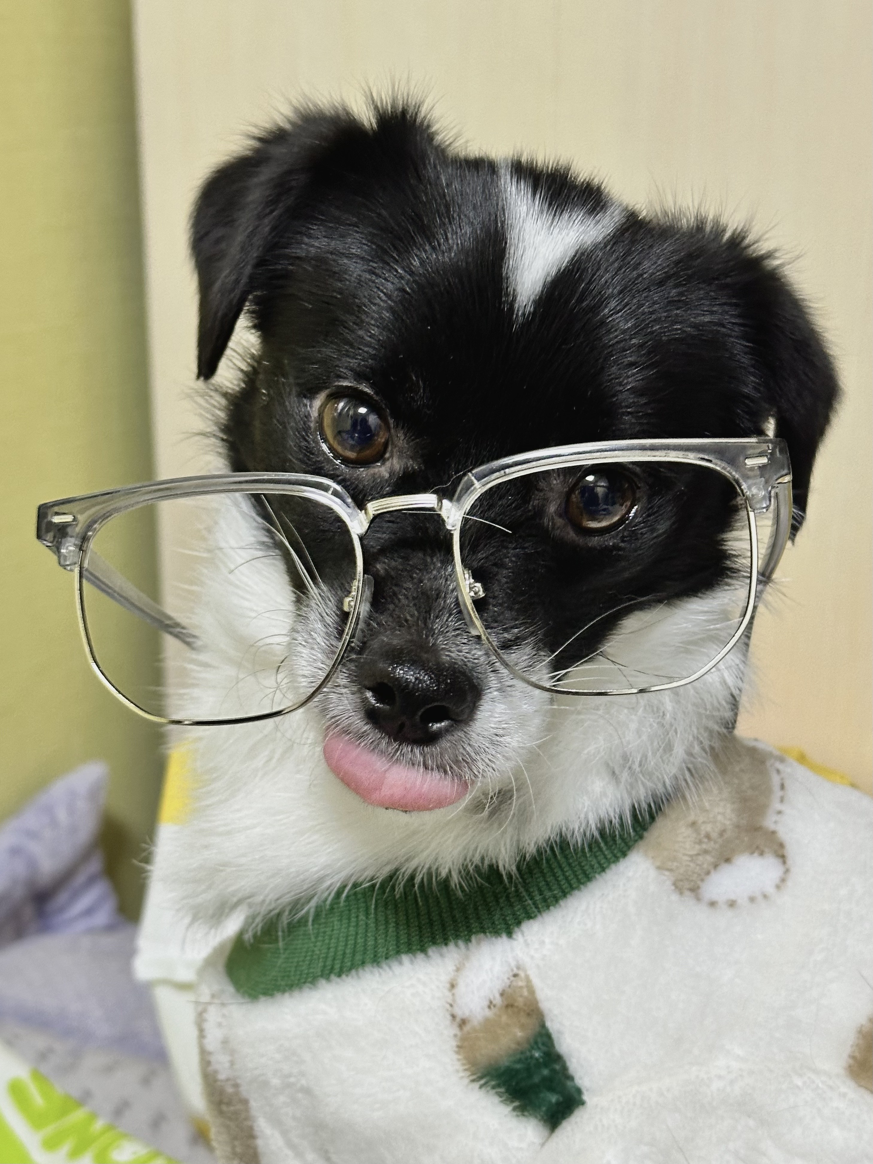 다온이 (루루) 1년 째!