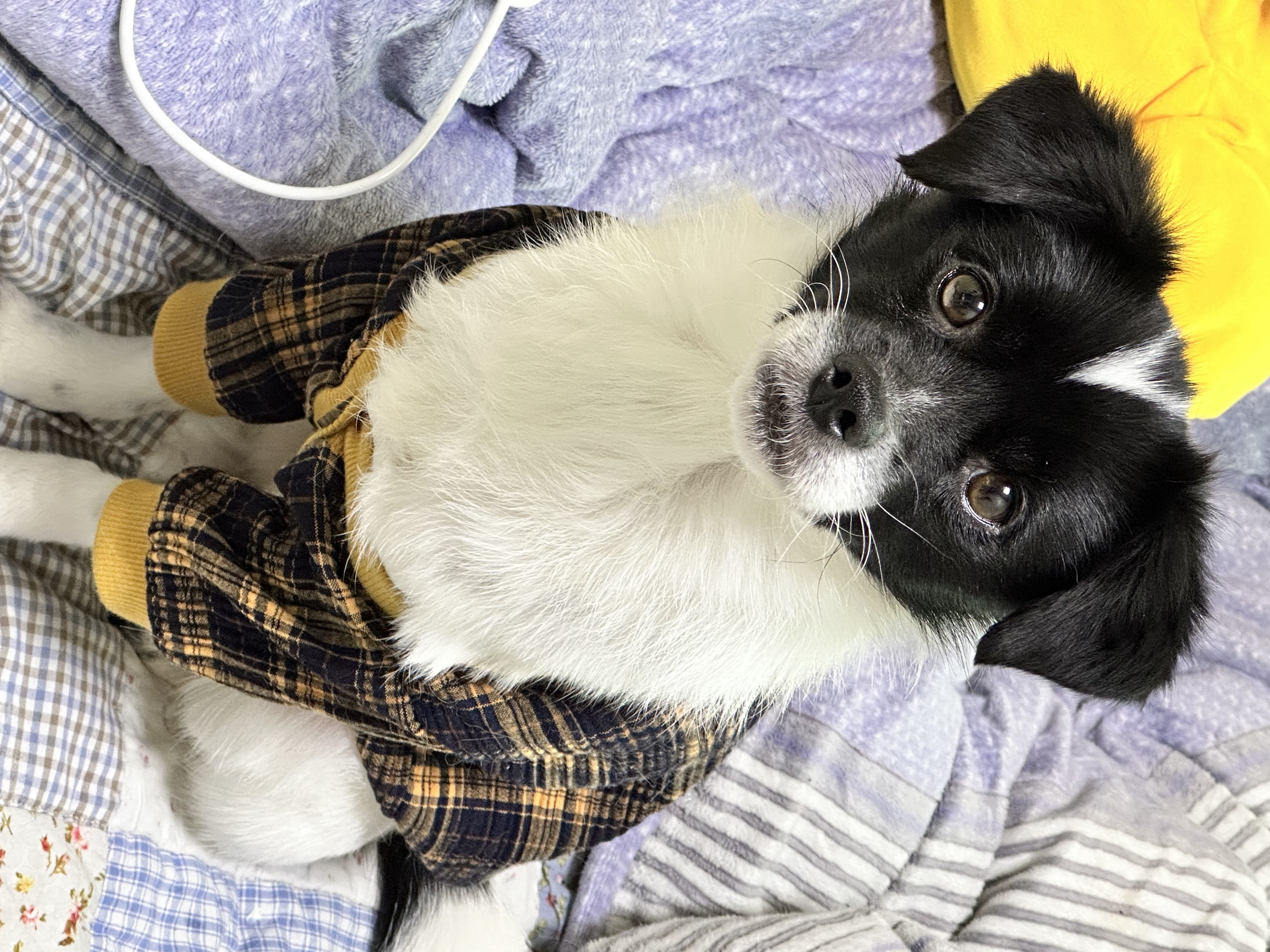 다온이 (루루) 1년 째!