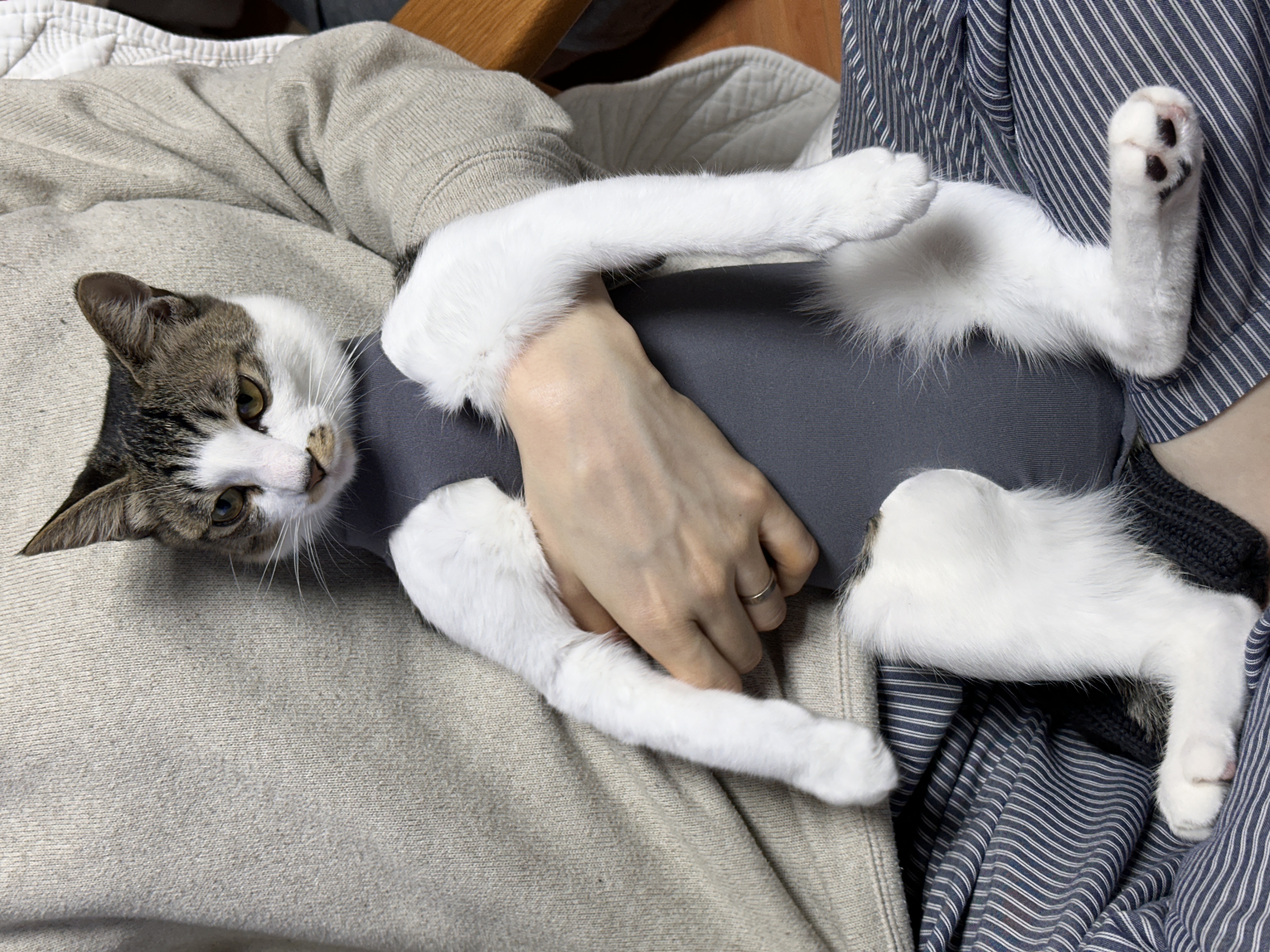 꼬무(유노) 6개월후기