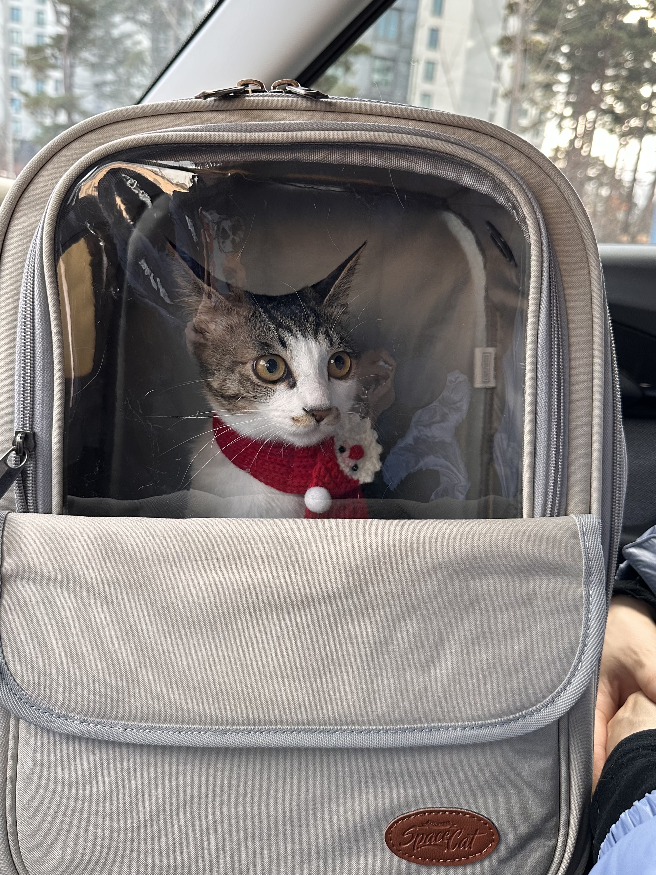 꼬무(유노) 6개월후기