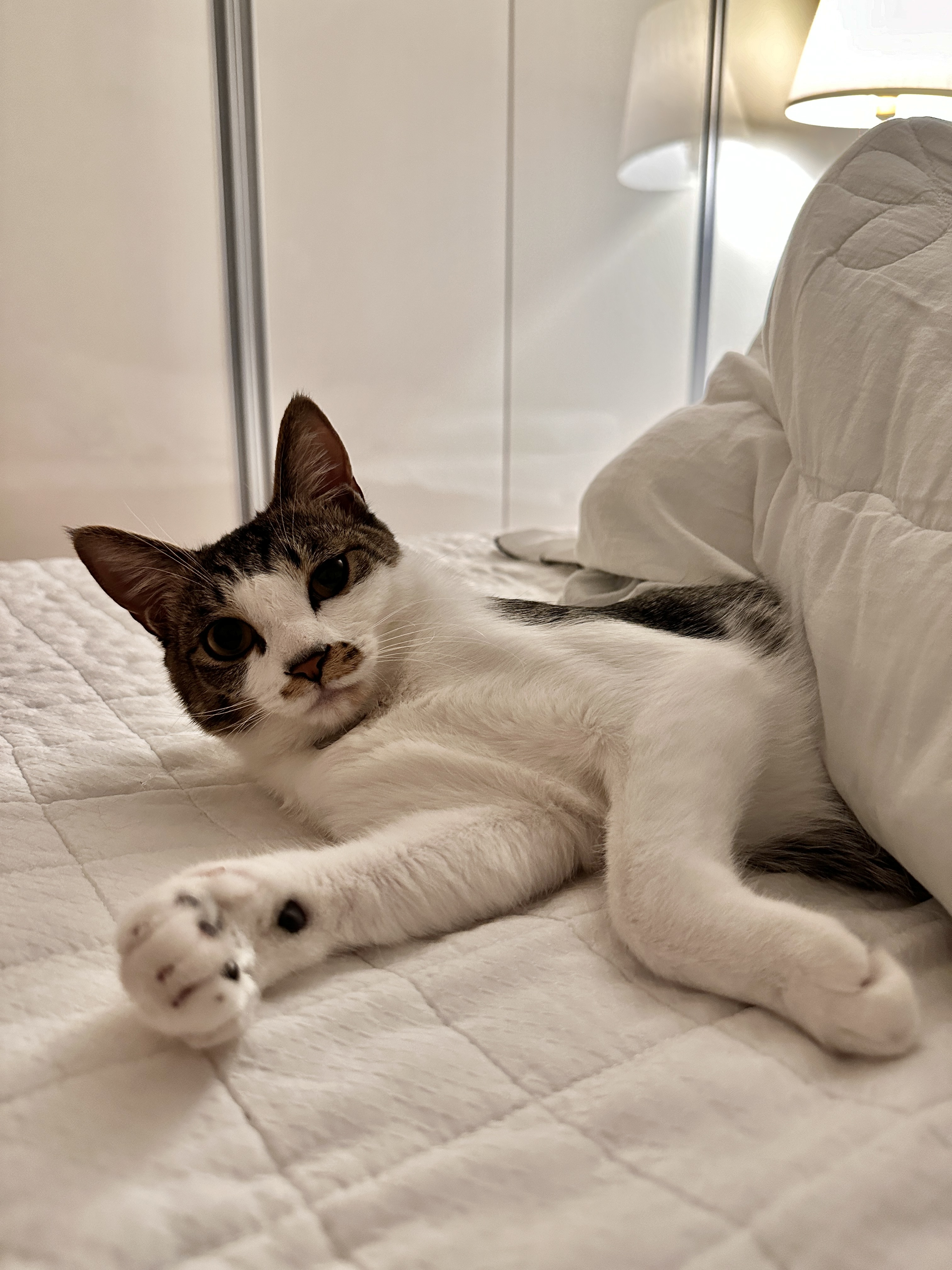 꼬무(유노) 6개월후기