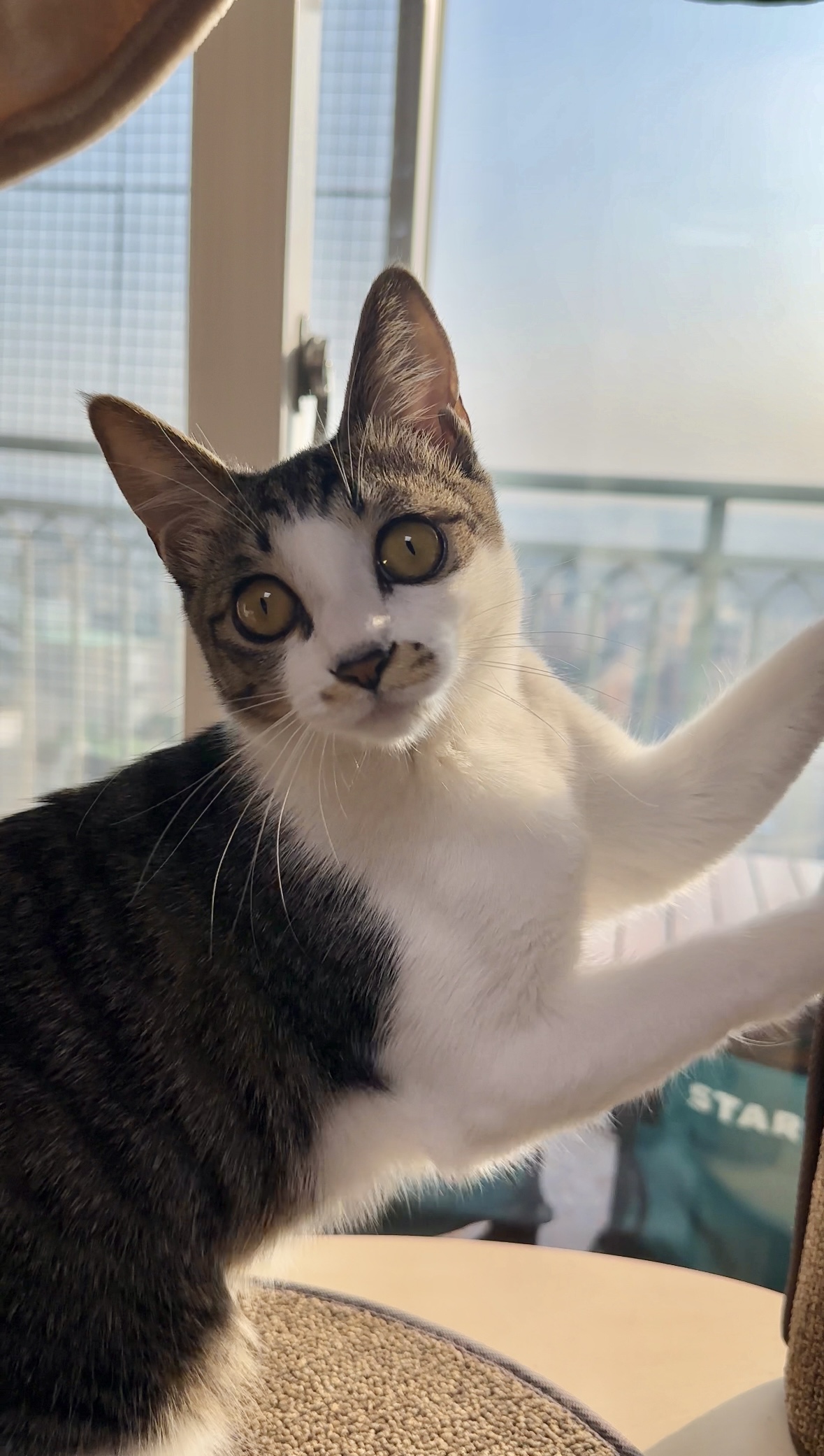 꼬무(유노) 6개월후기