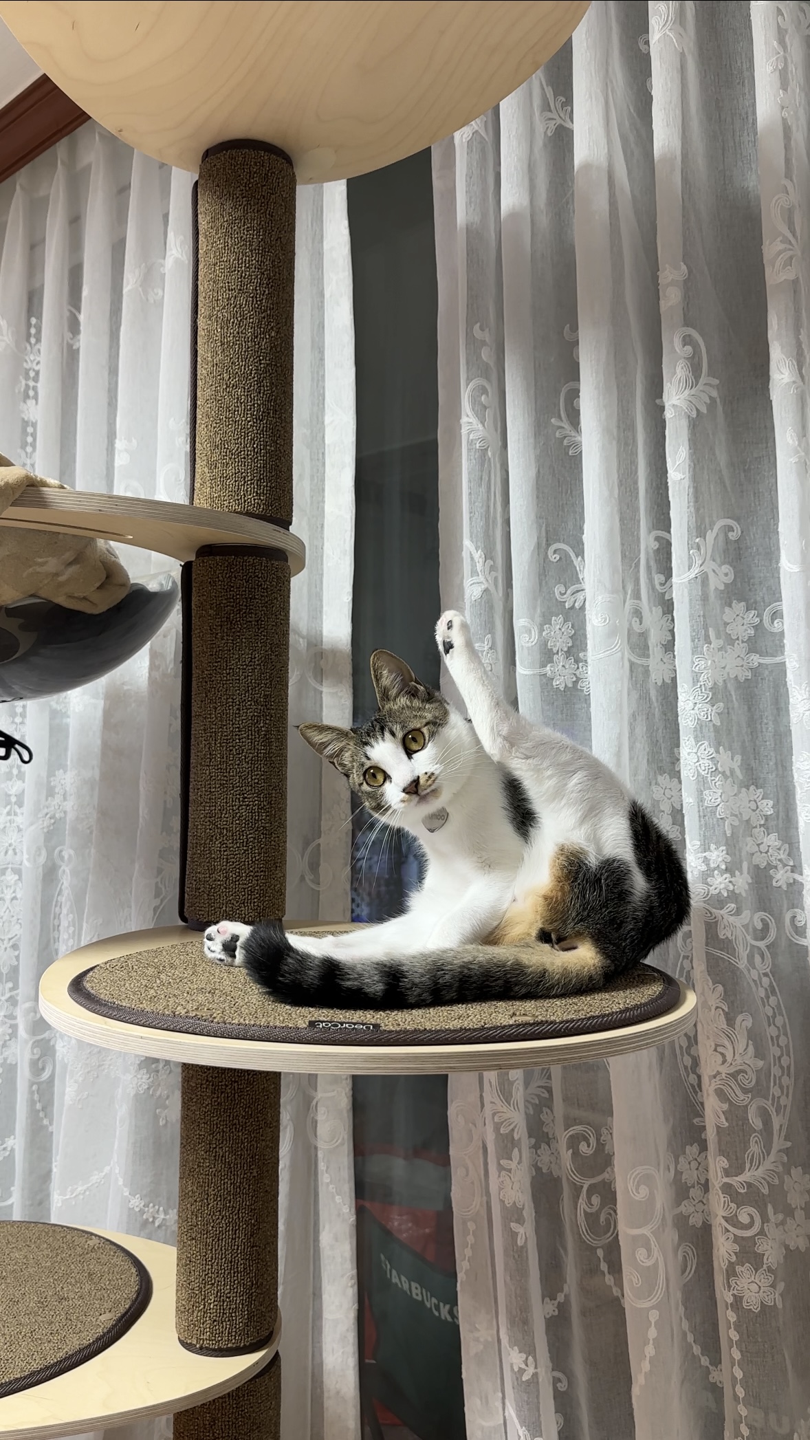 꼬무(유노) 6개월후기