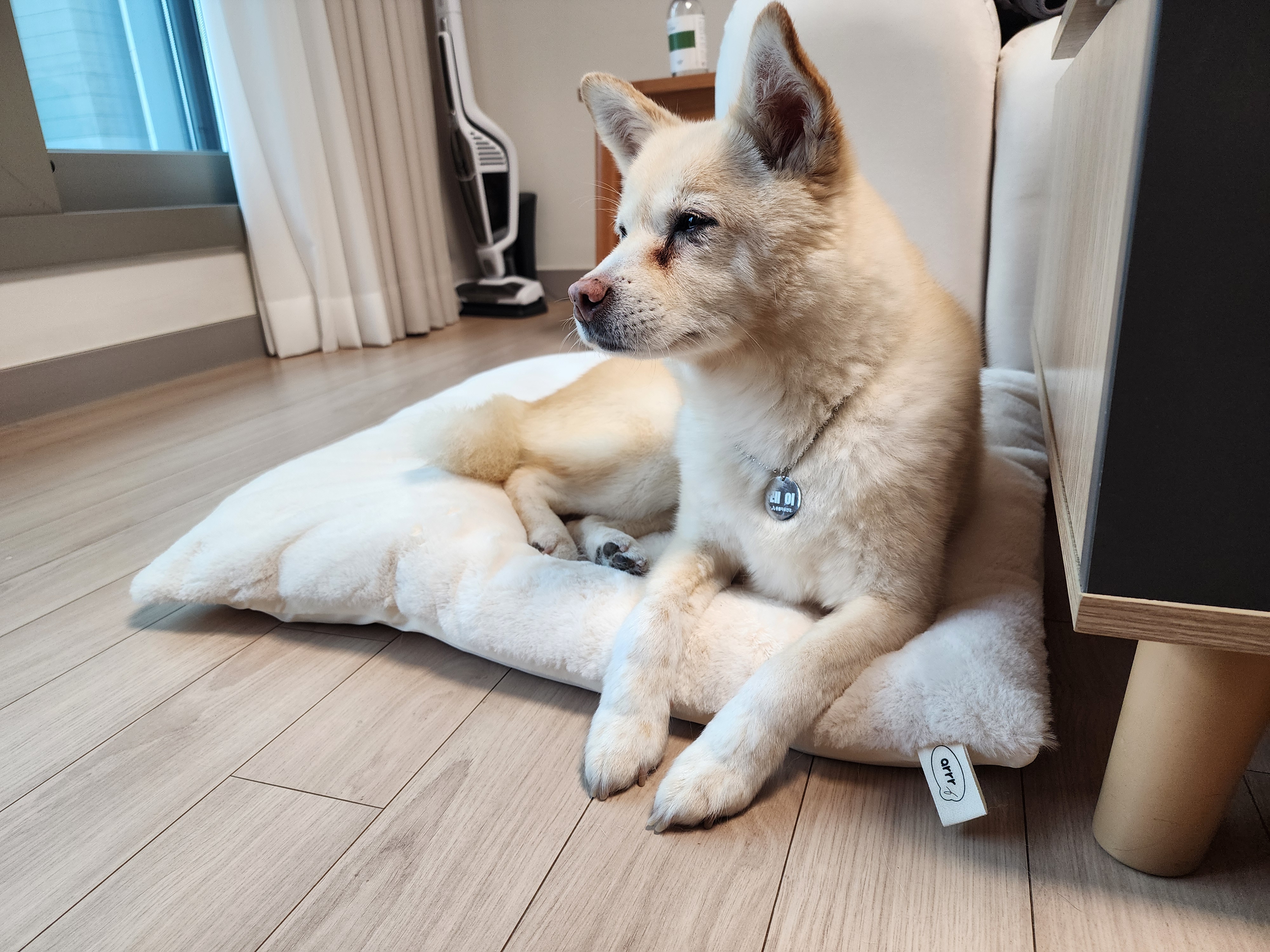 레이의 일주일:) 