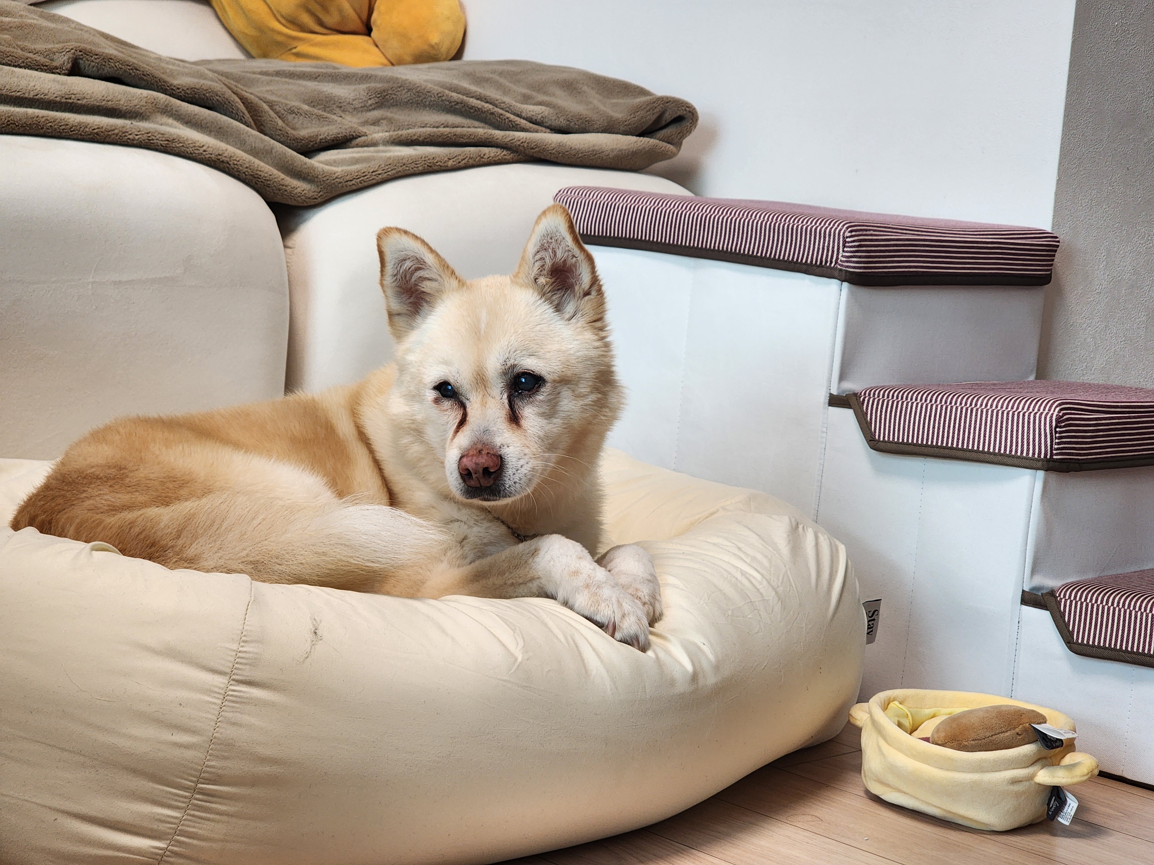 레이의 일주일:) 