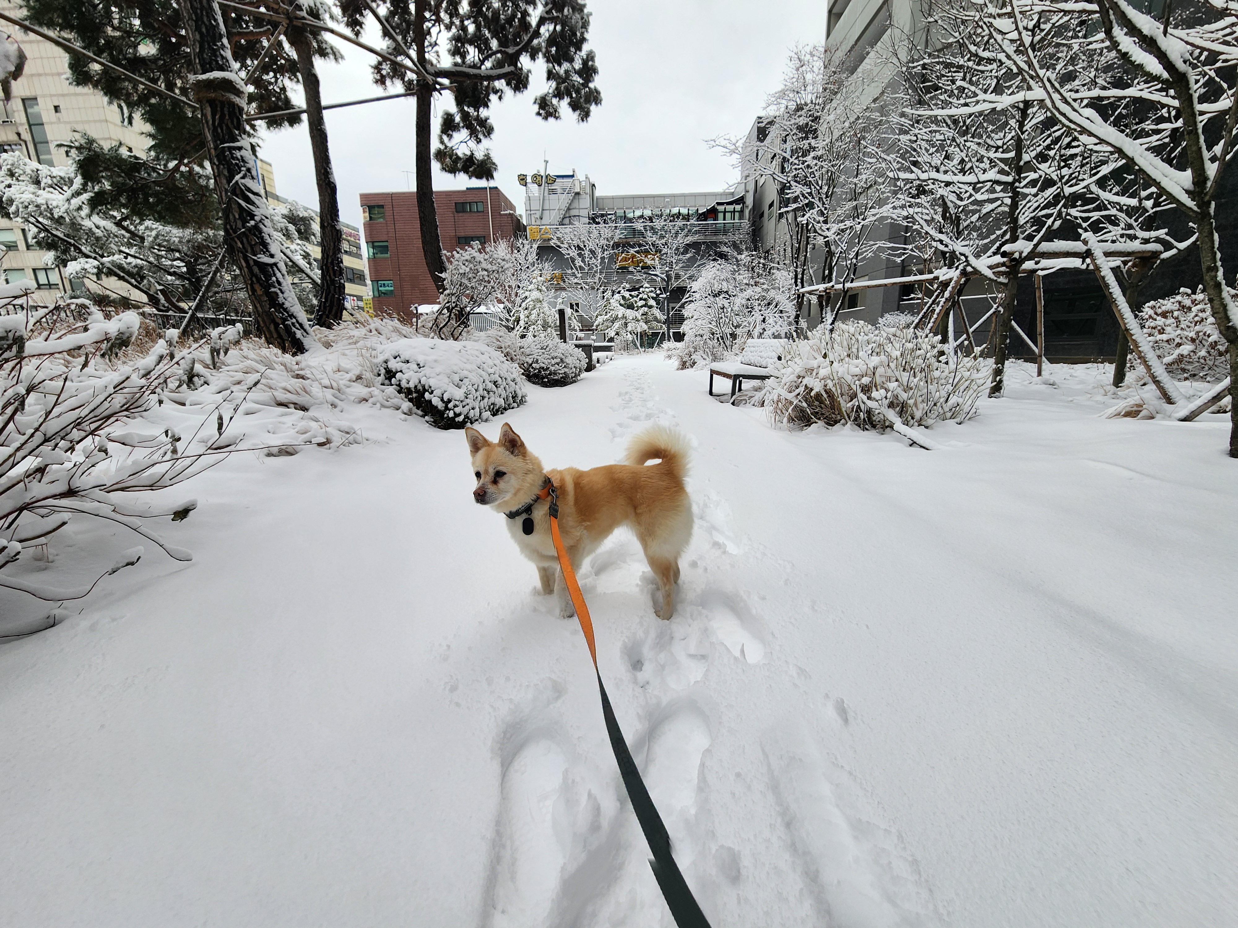 레이의 일주일:) 