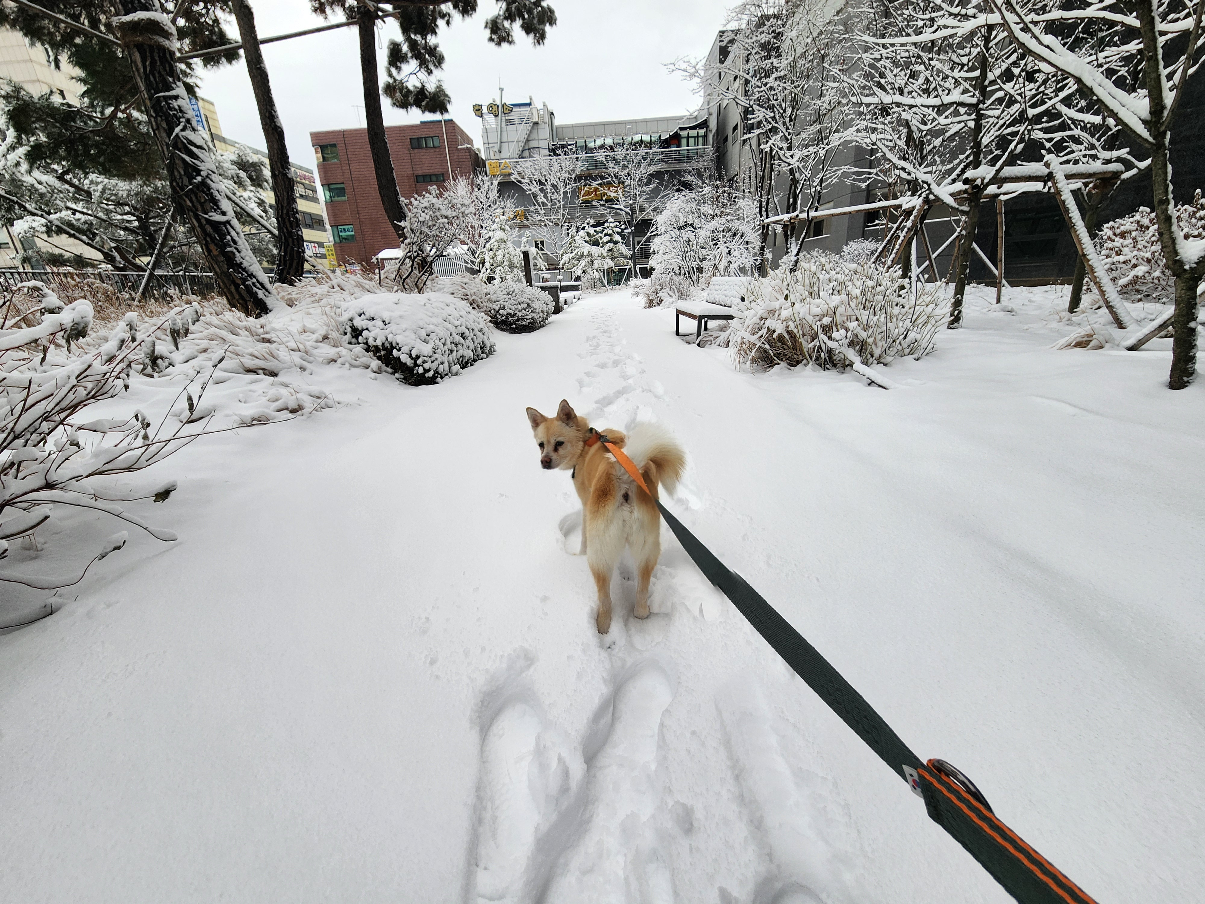 레이의 일주일:) 