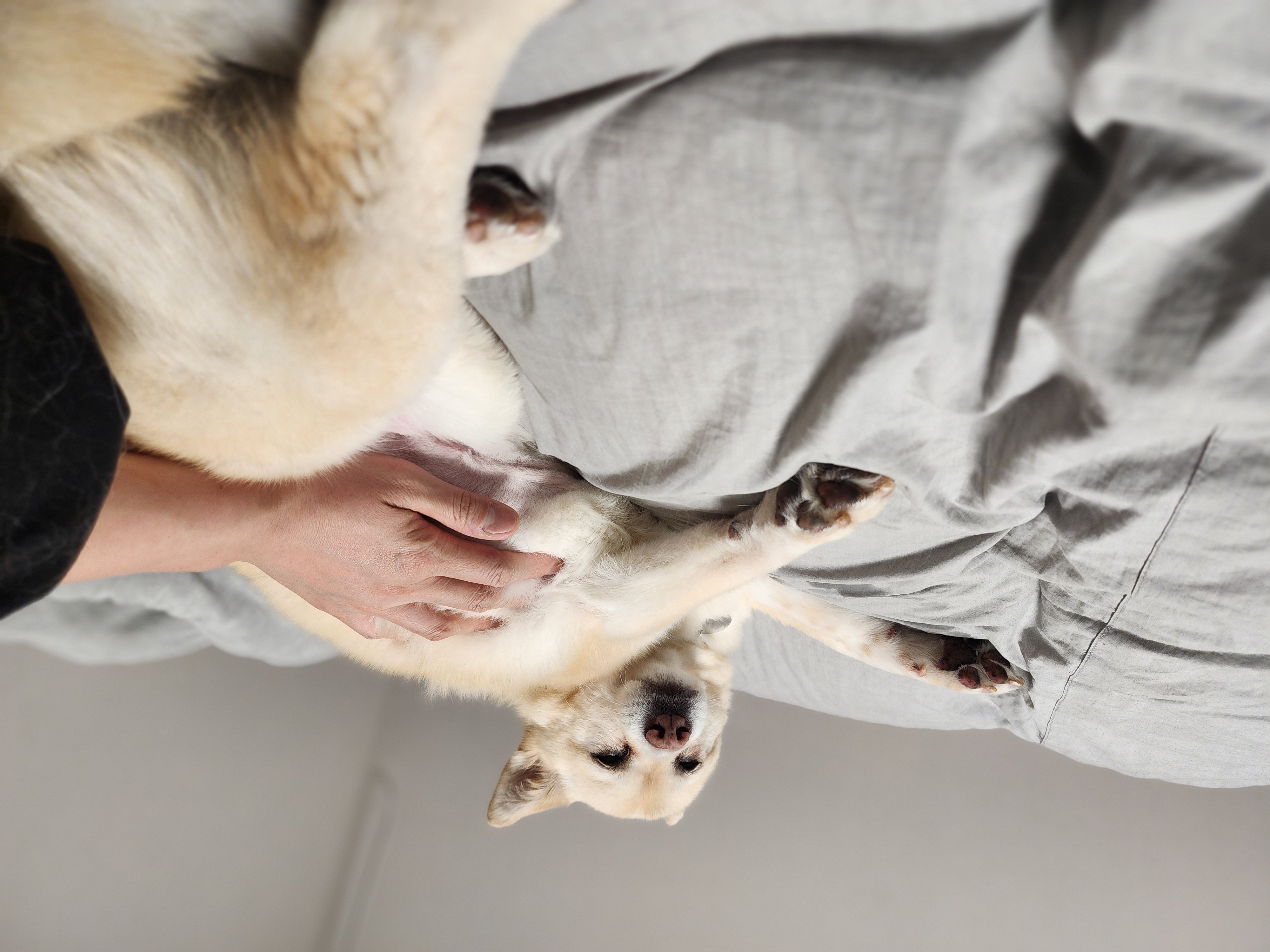 레이의 일주일:) 