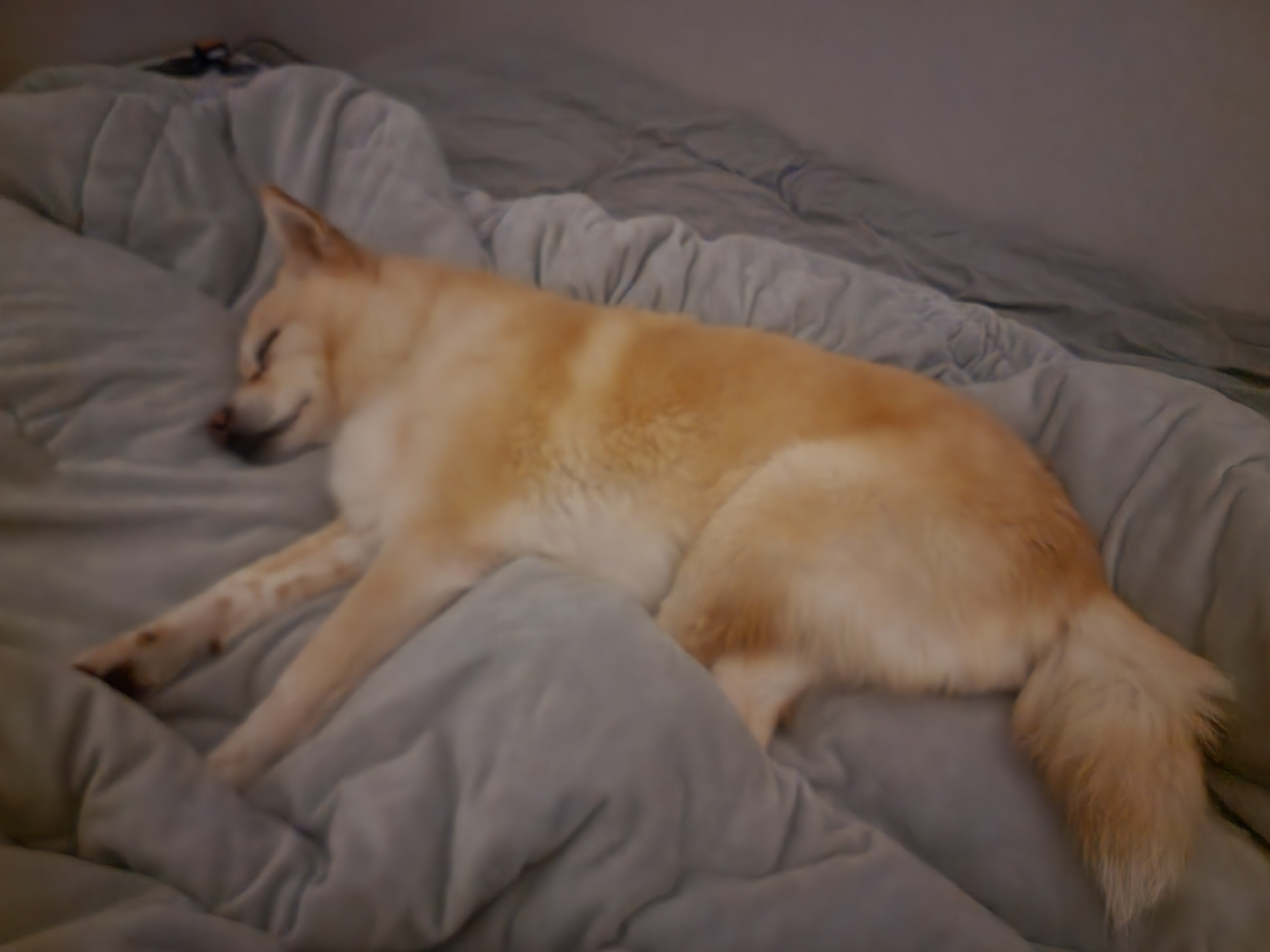 레이의 일주일:) 