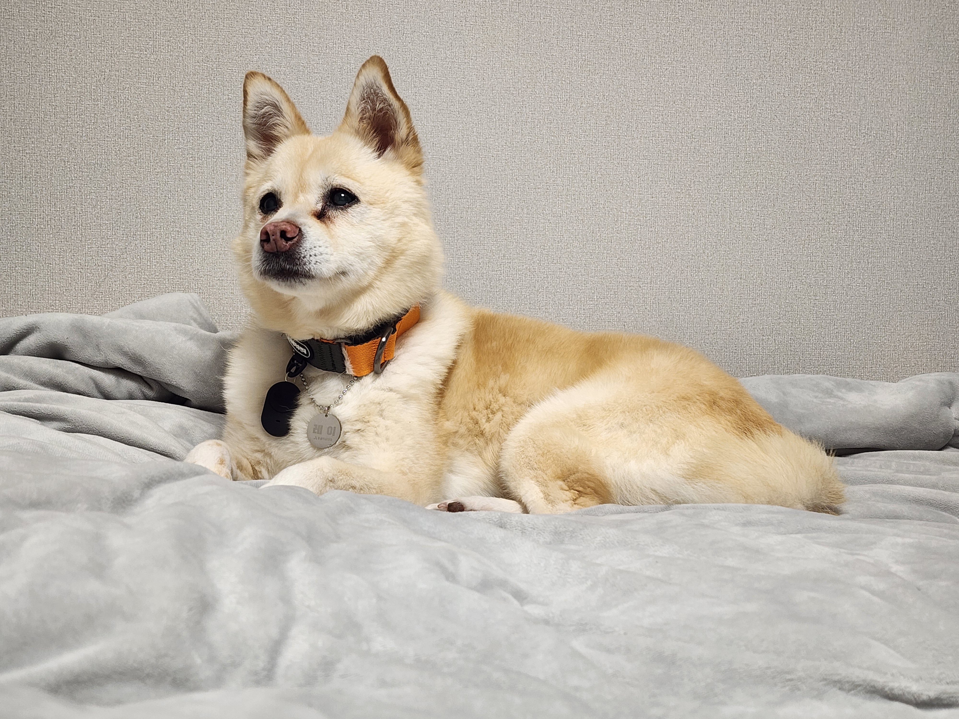 레이의 일주일:) 