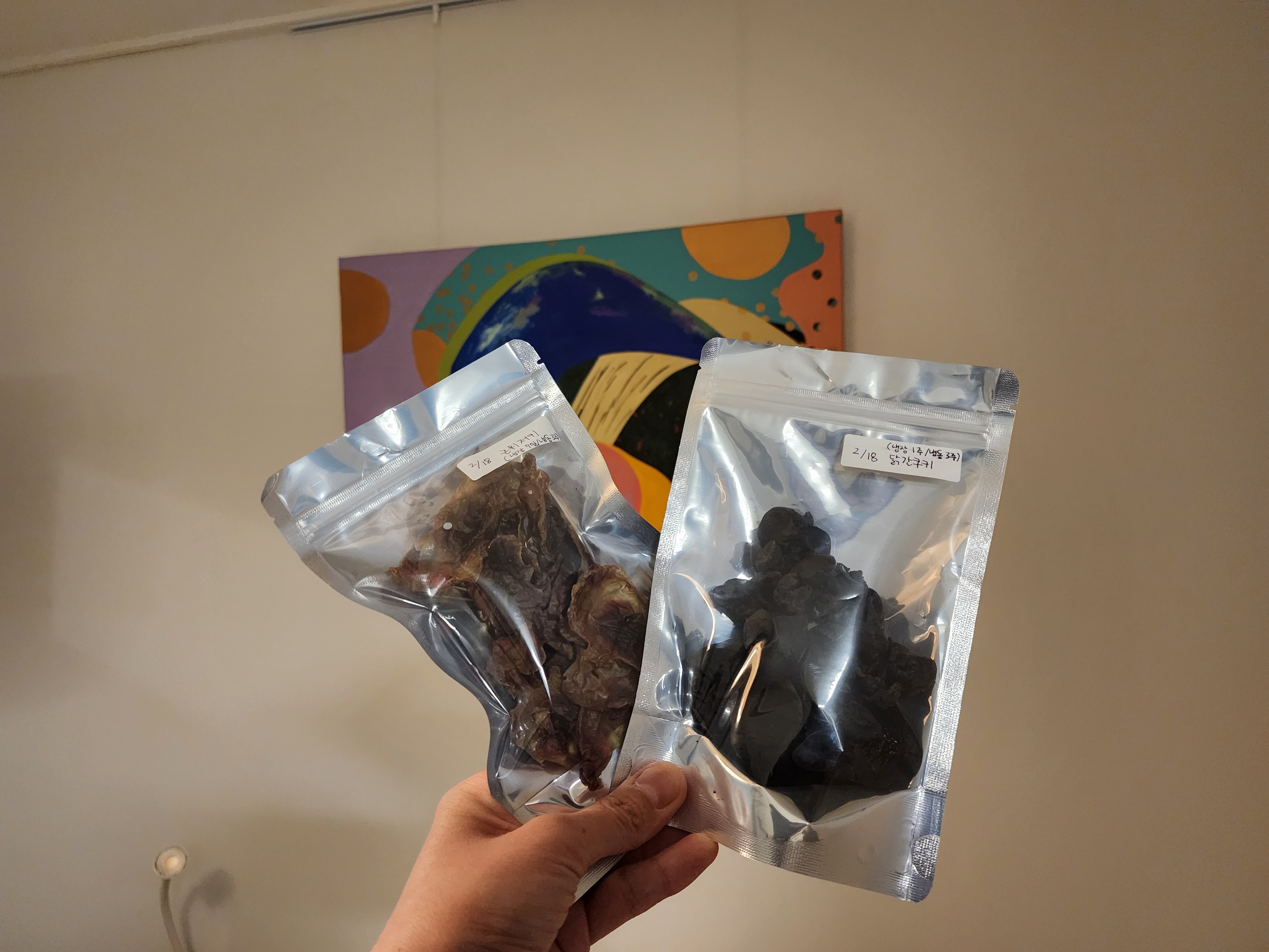 레이의 일주일:) 