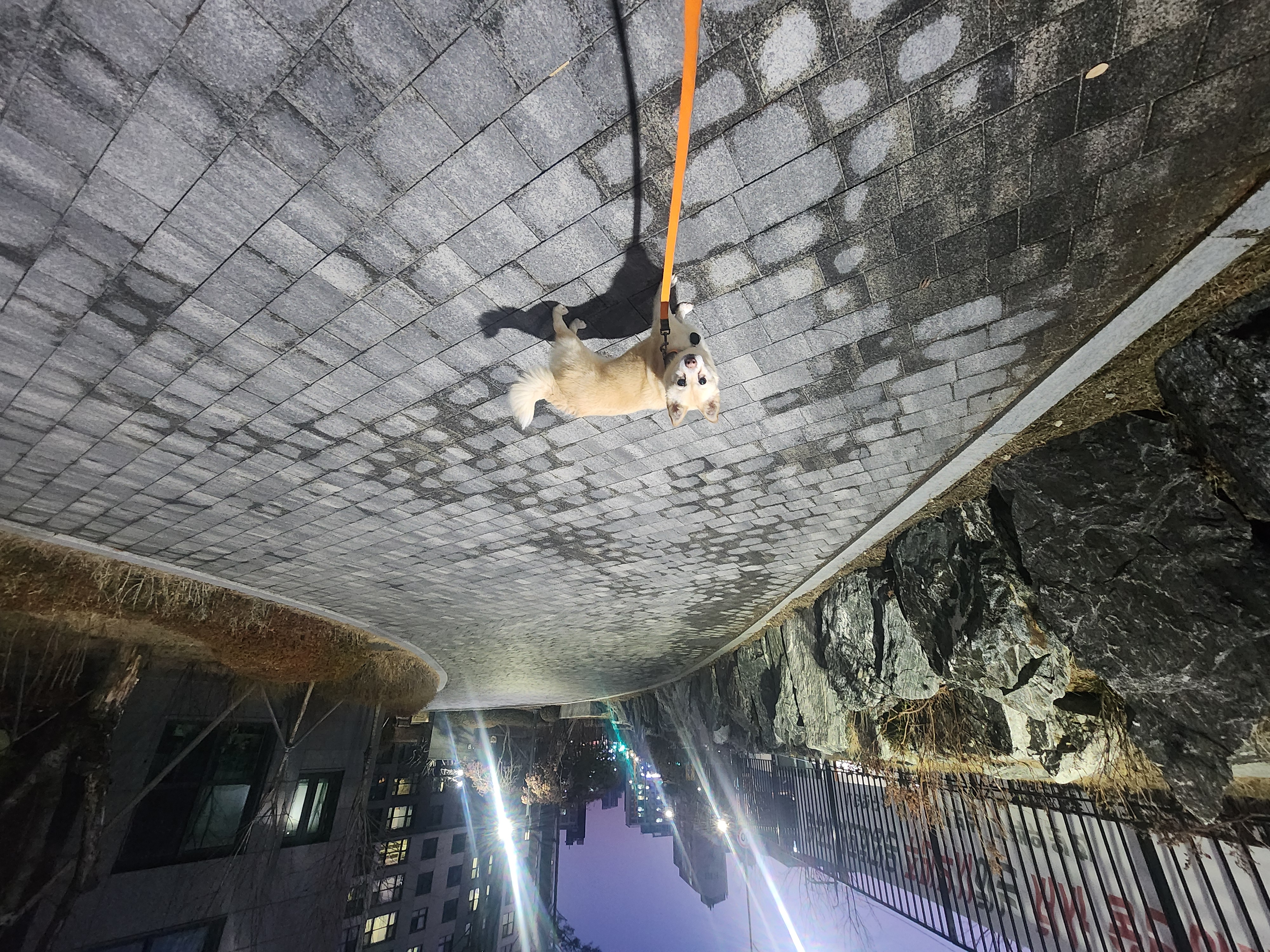 레이의 일주일:) 