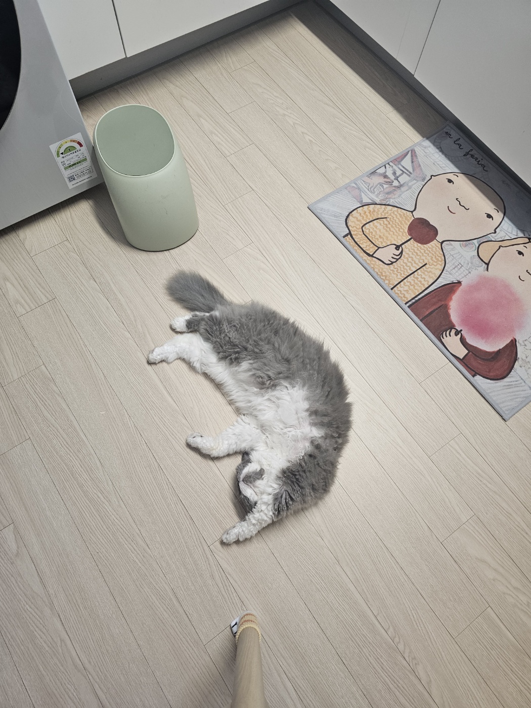 팡이(영순이) 입양 3개월 후기 입니다. 