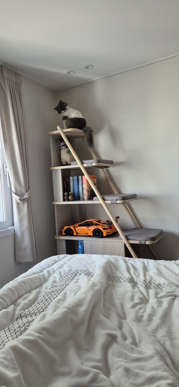 팡이(영순이) 입양 3개월 후기 입니다. 